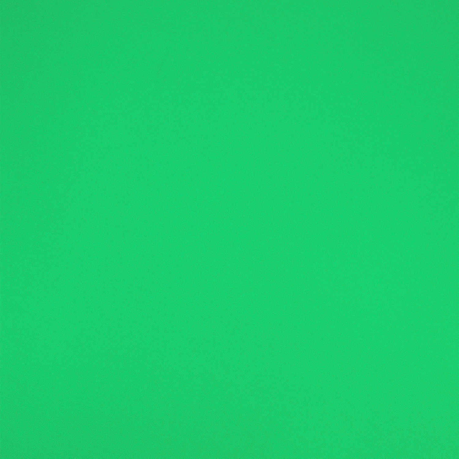 #color_PARAKEET GREEN