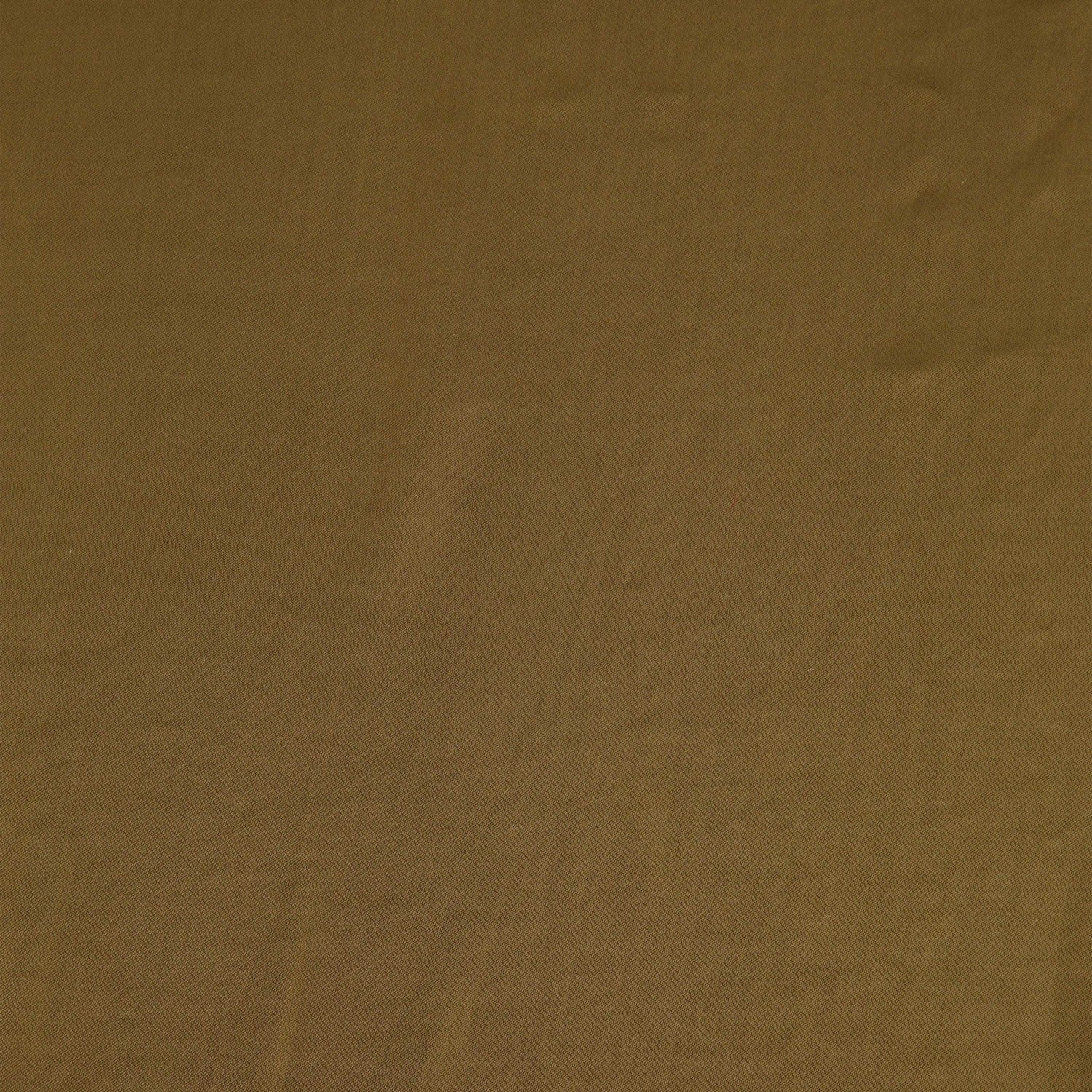 #color_GRACIOUS OLIVE