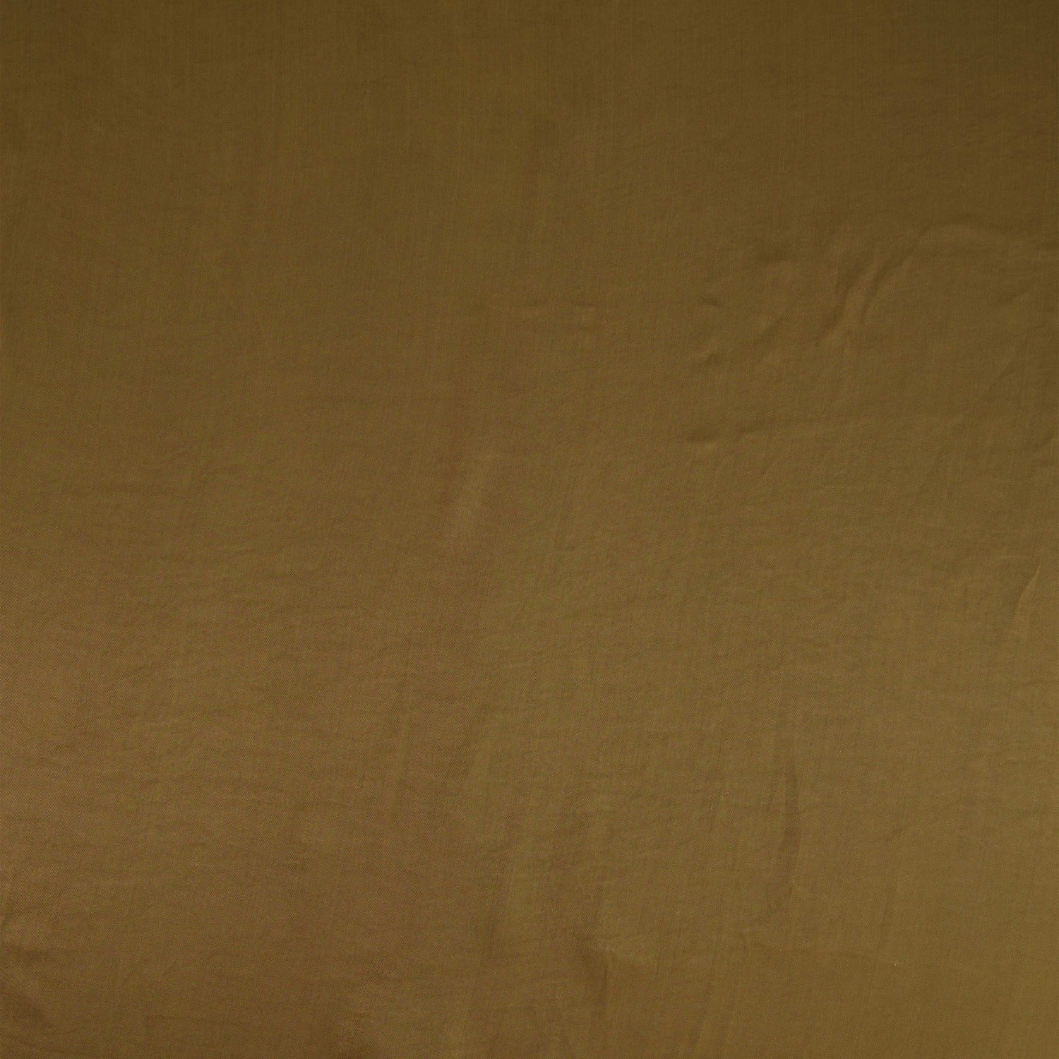 #color_GRACIOUS OLIVE