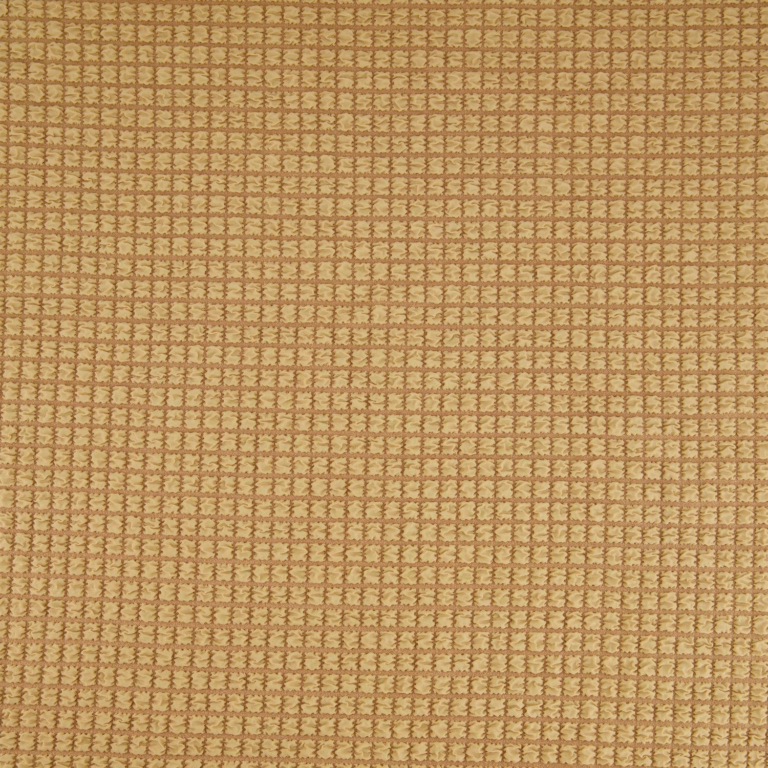 #color_ALMOND