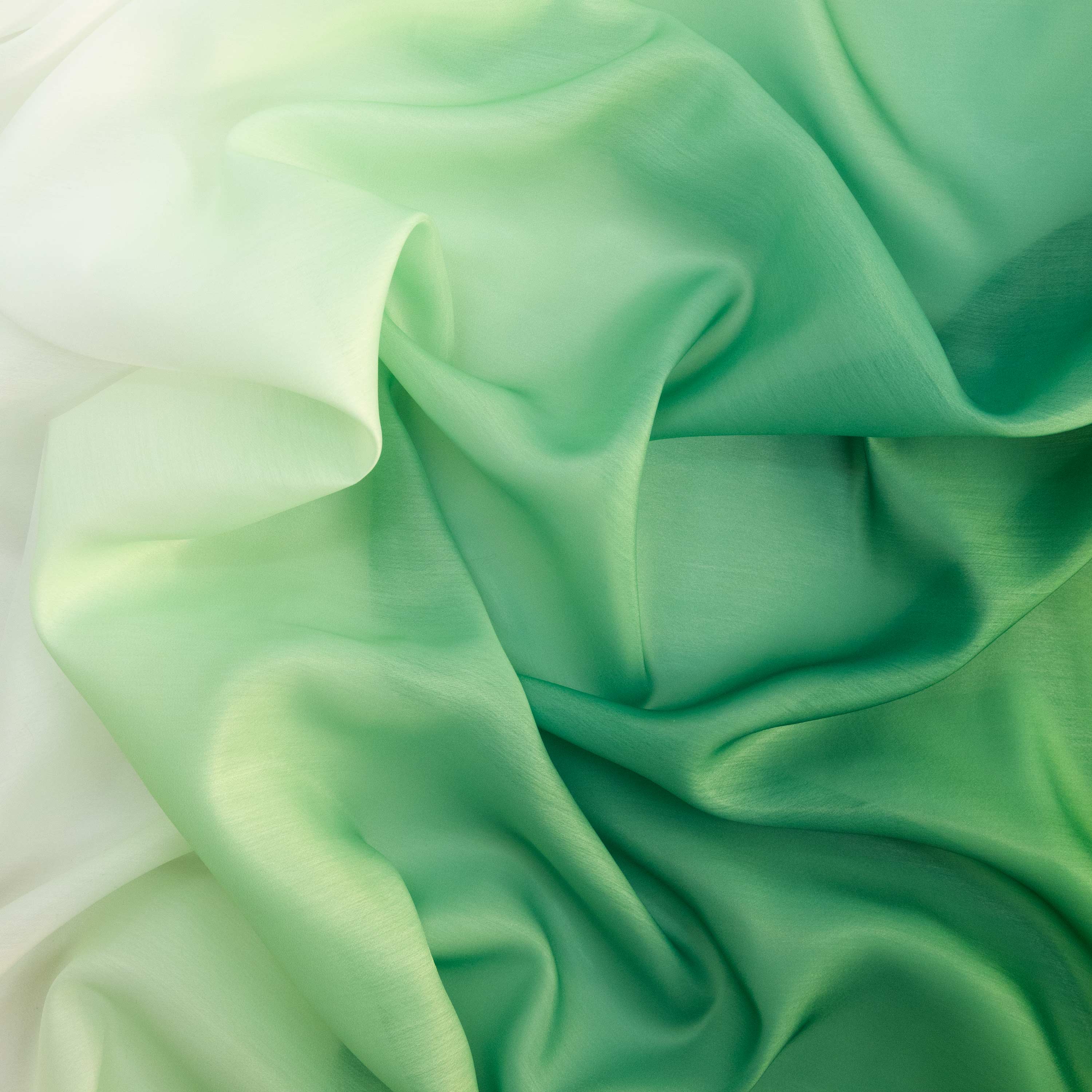 #color_EMERALD/IVORY