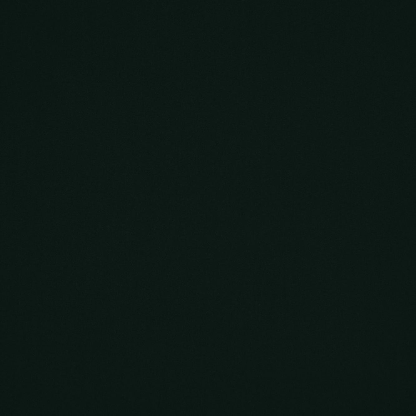 #color_HUNTER DELIGHT