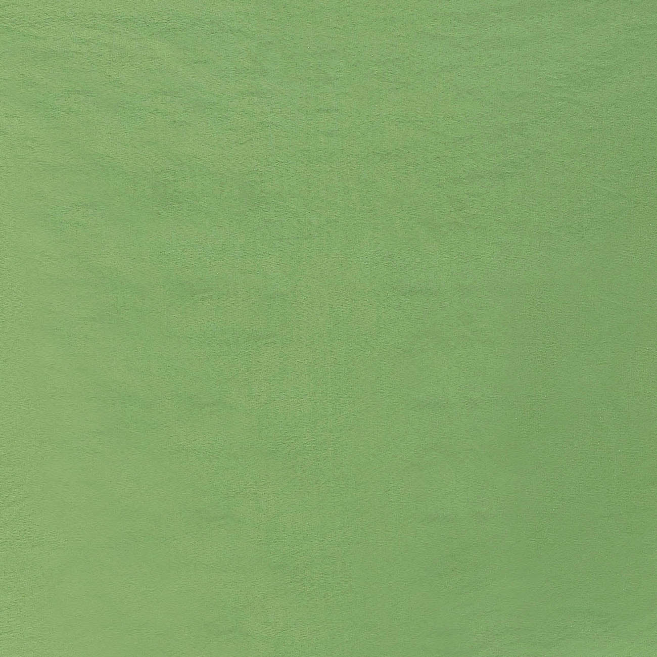 #color_LIME