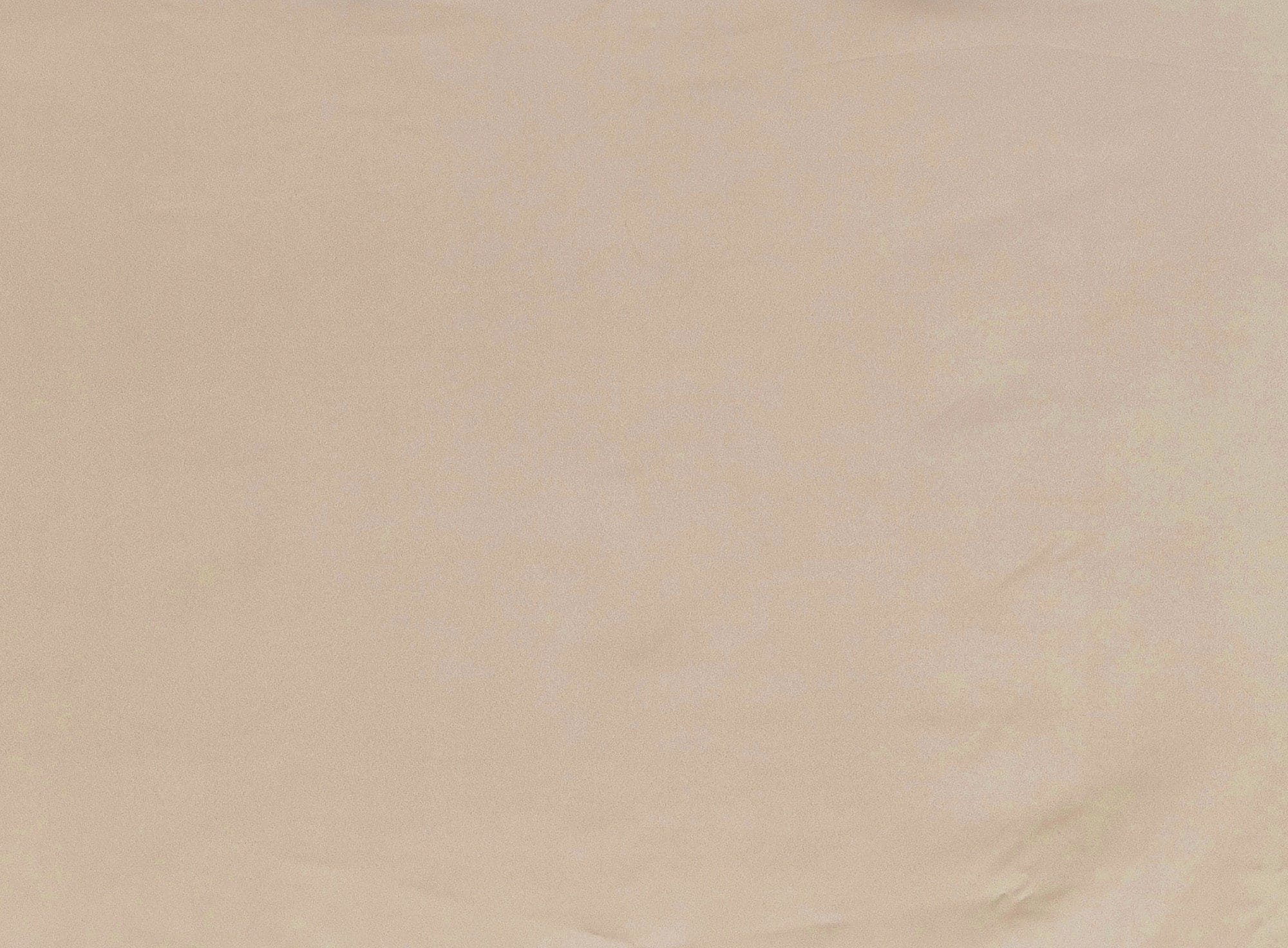 #color_CARNATION BEIGE