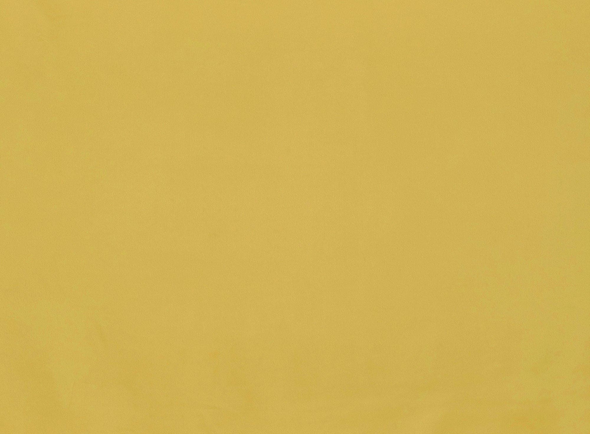 #color_LEMON PUREE