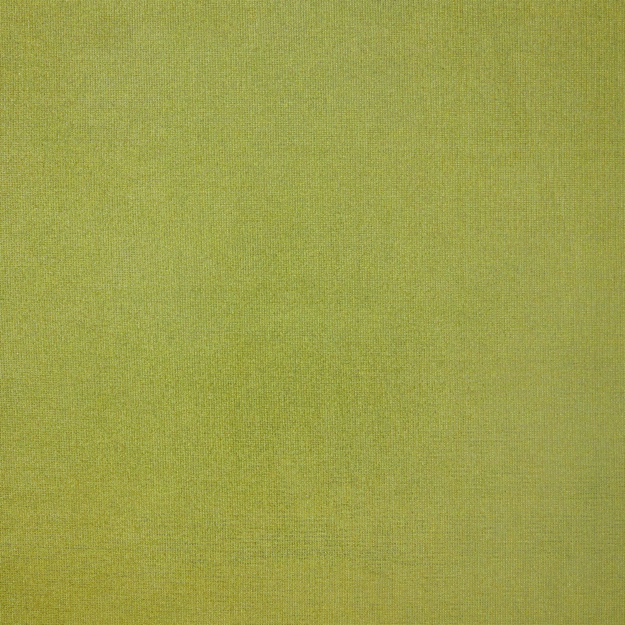 #color_LIME/SILVER