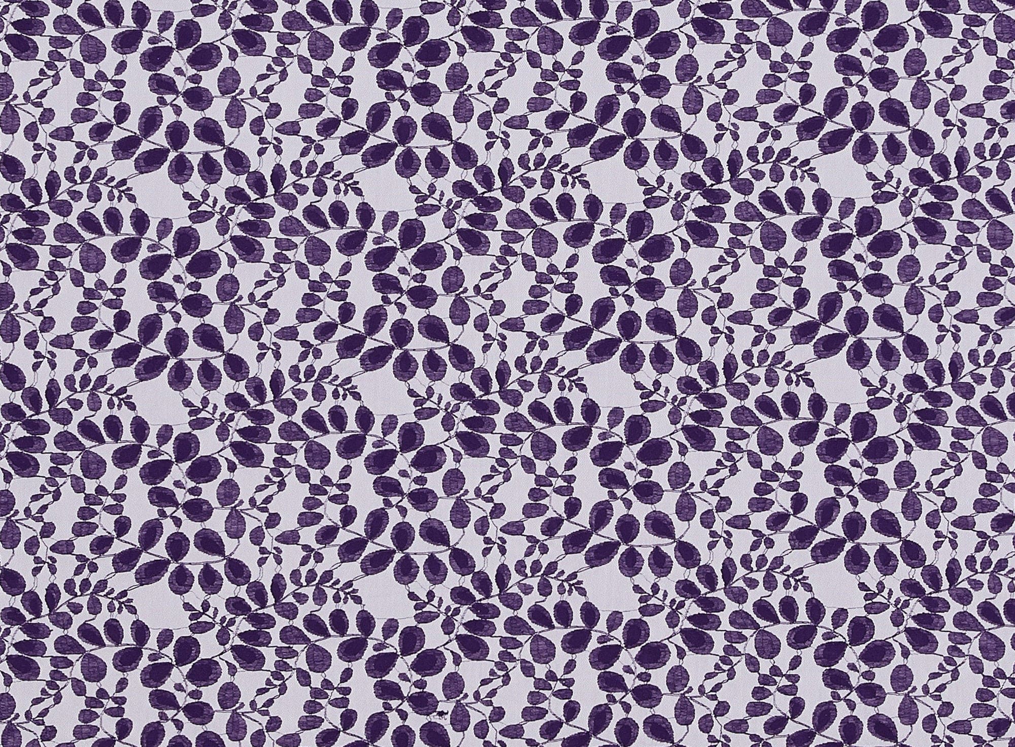 #color_666 PURPLE