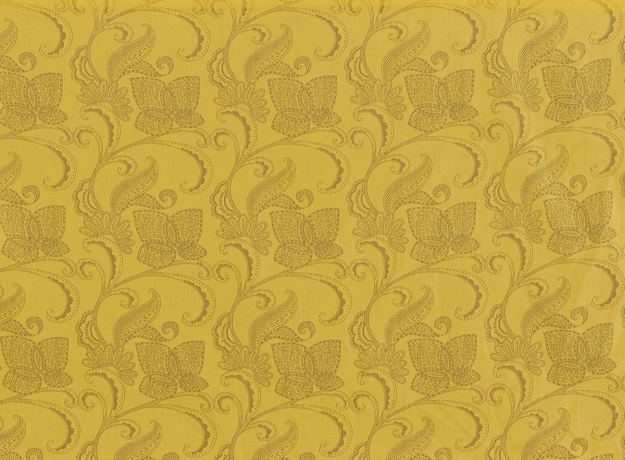 #color_555 BANANA