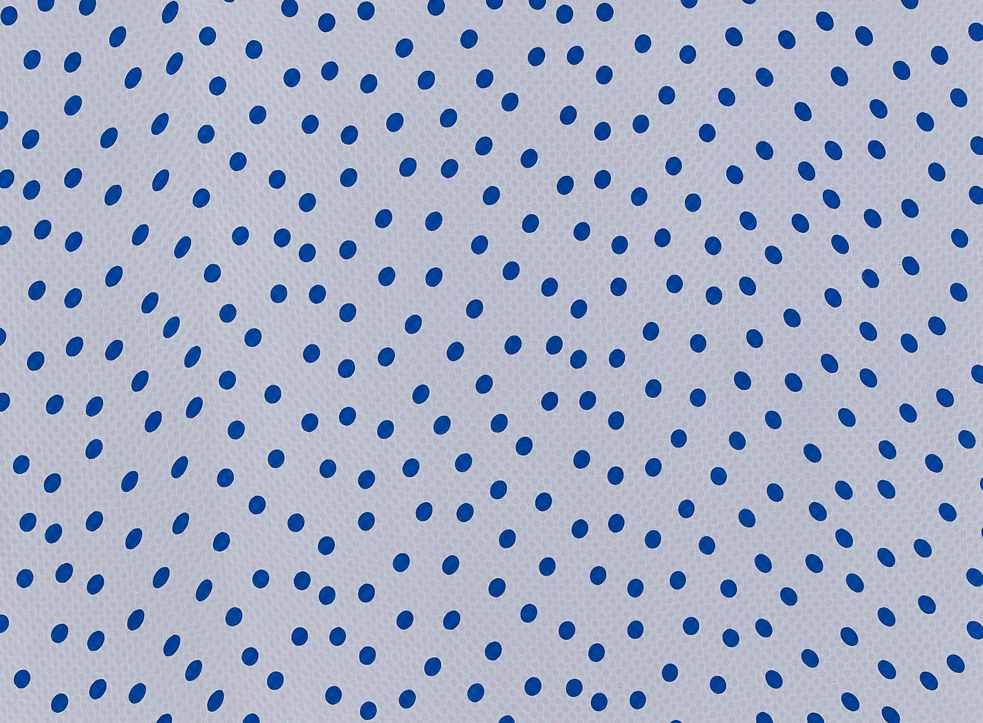 #color_141 WHT/ROYAL