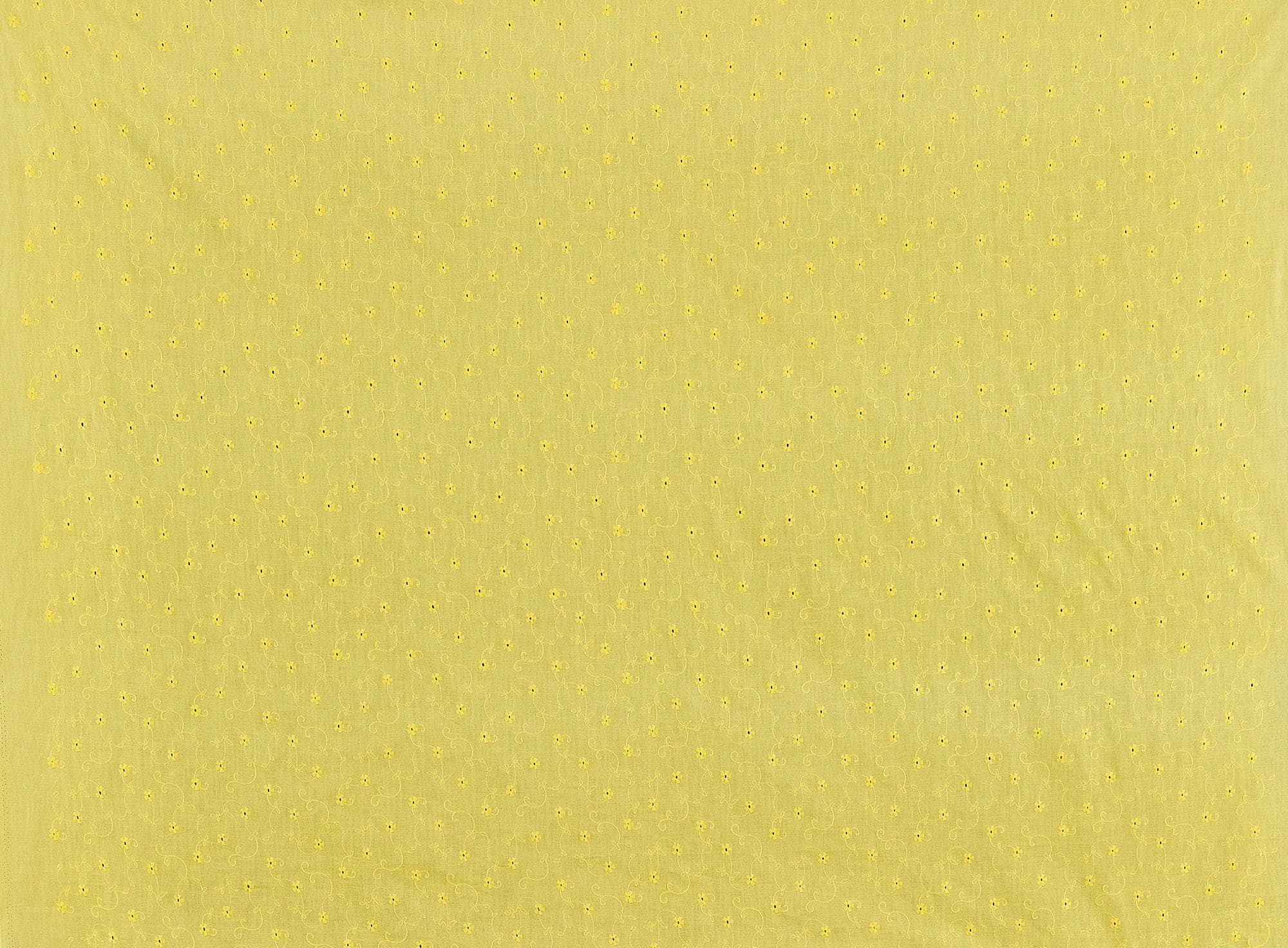 #color_555 SUNNY YELLO