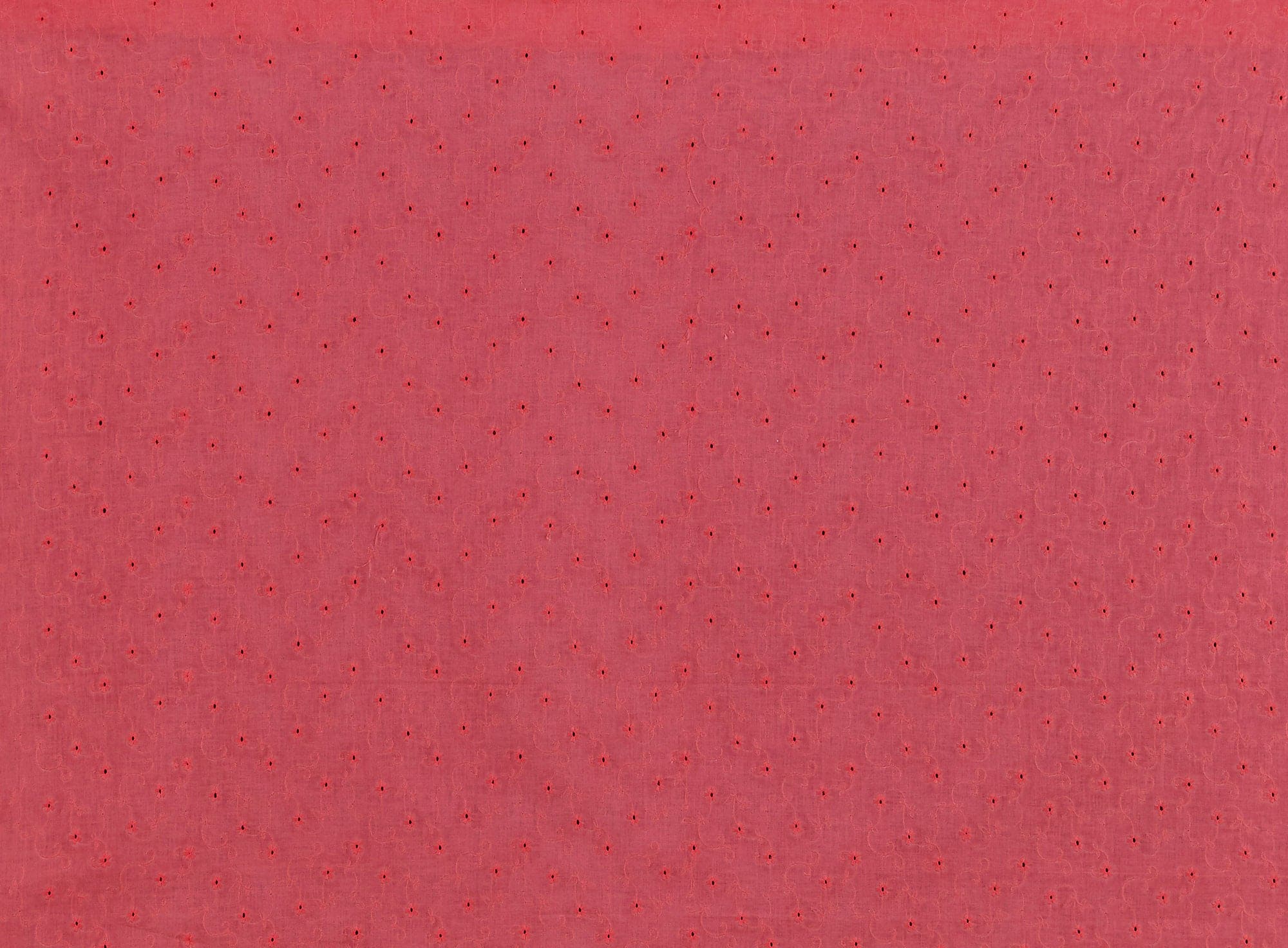 #color_888 POPPY CORAL