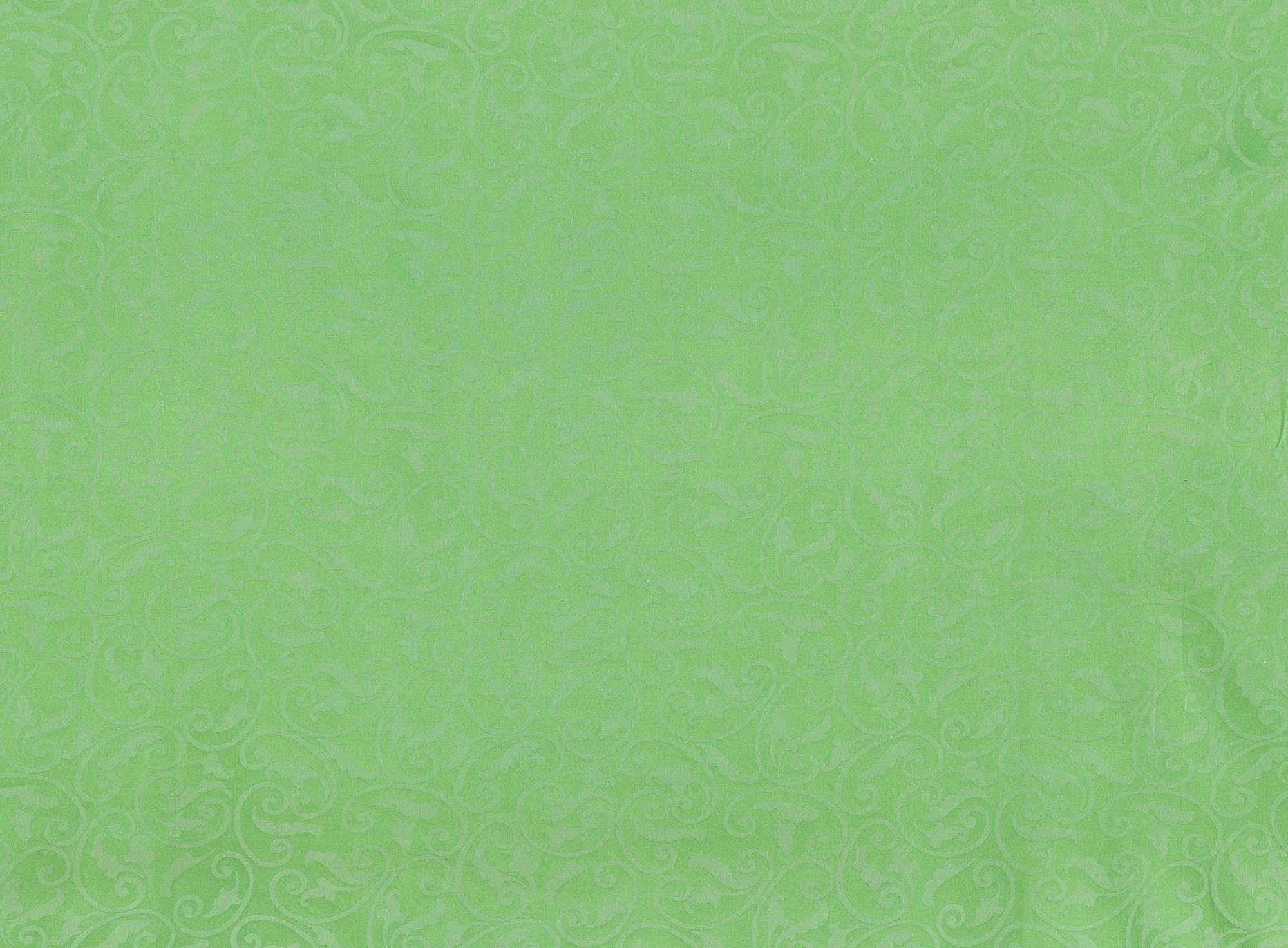 #color_777 LOLLI GREEN