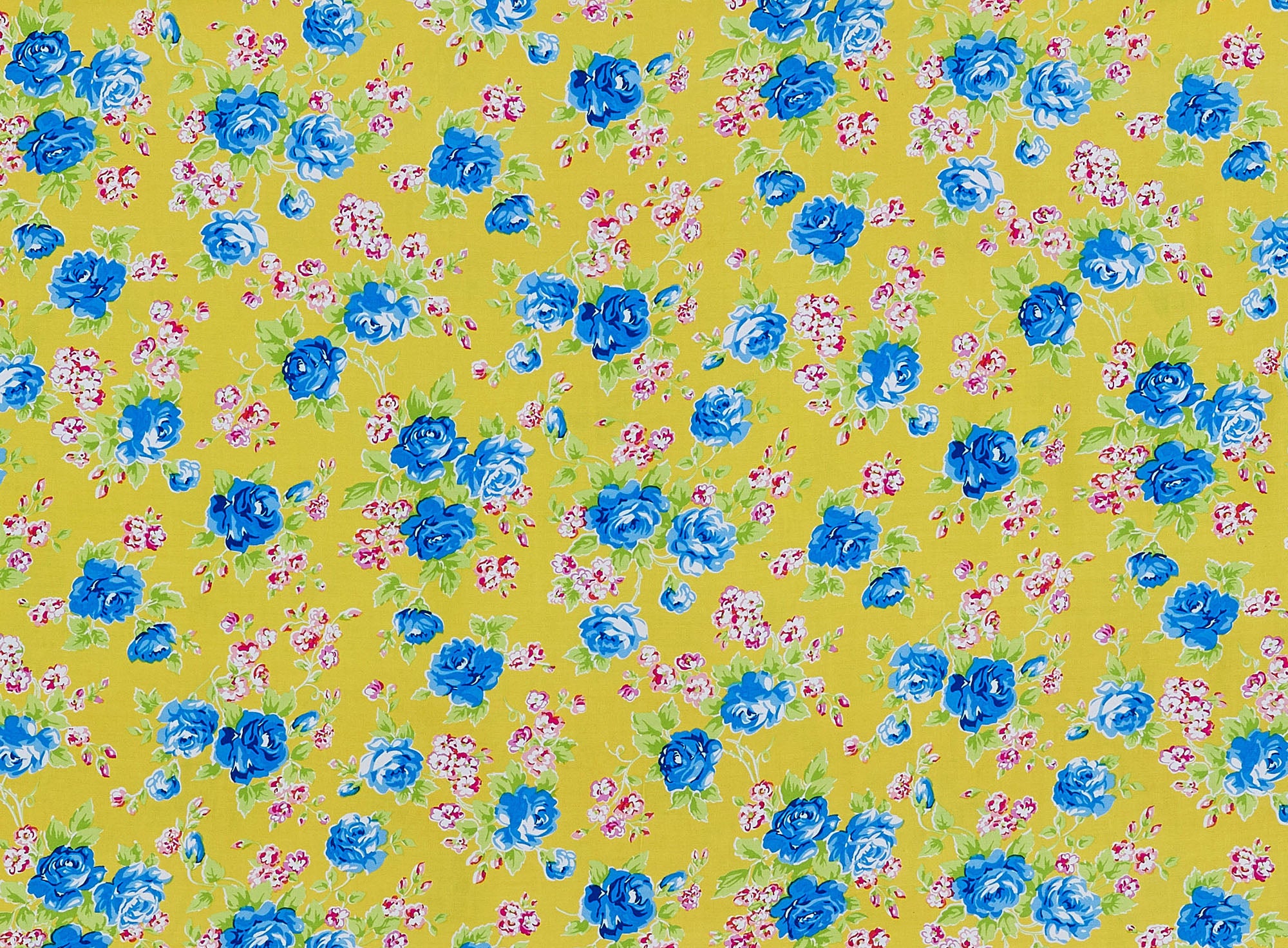 #color_548 YELLOW/BLUE