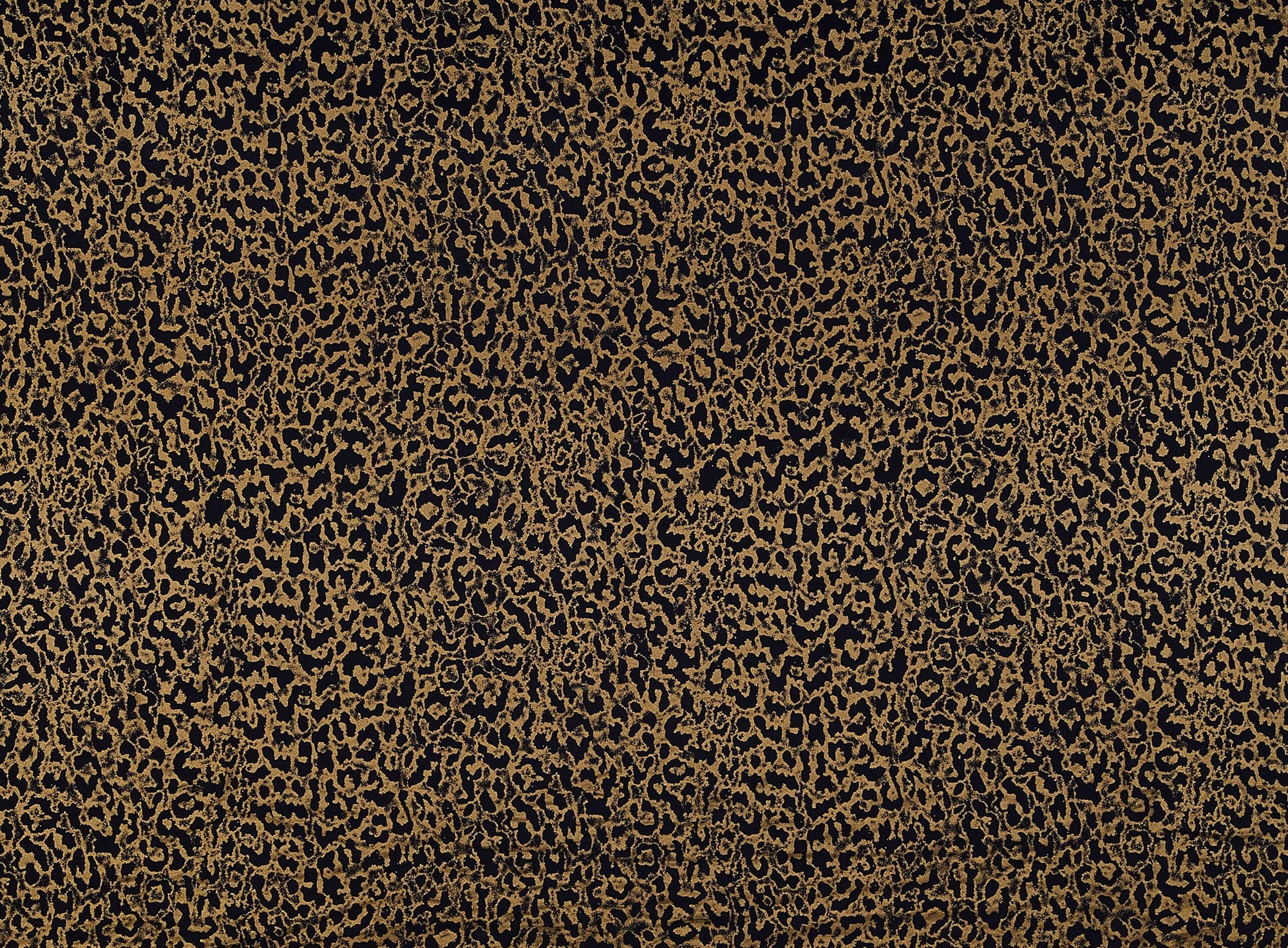 #color_959 BLK/GOLD