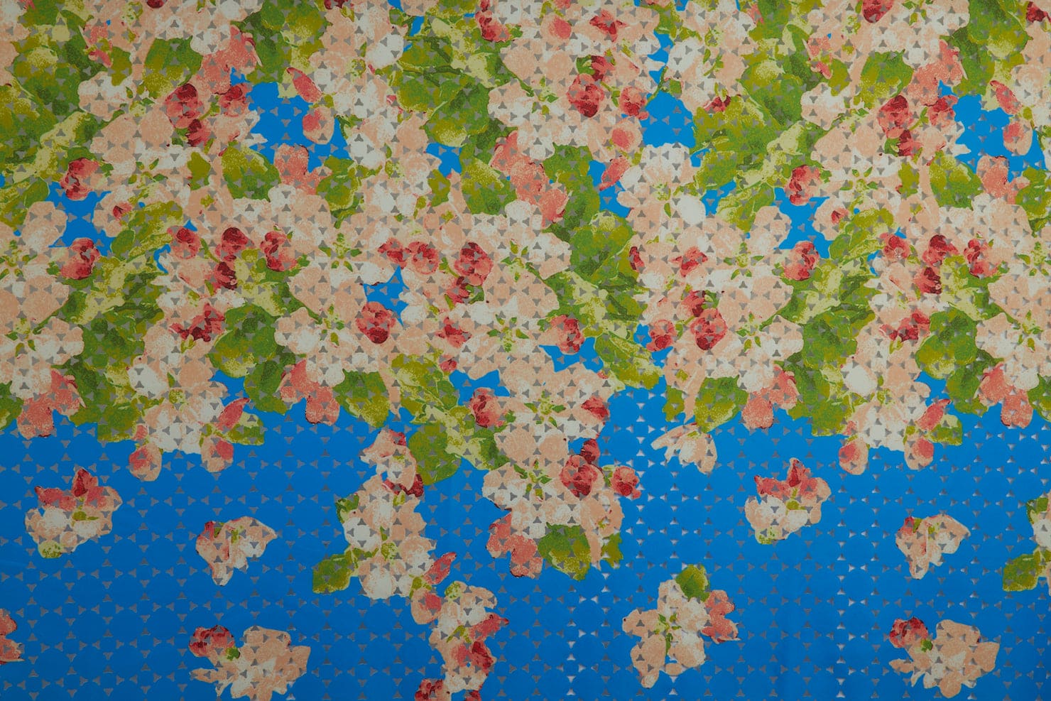 #color_437L BLUE/CORAL