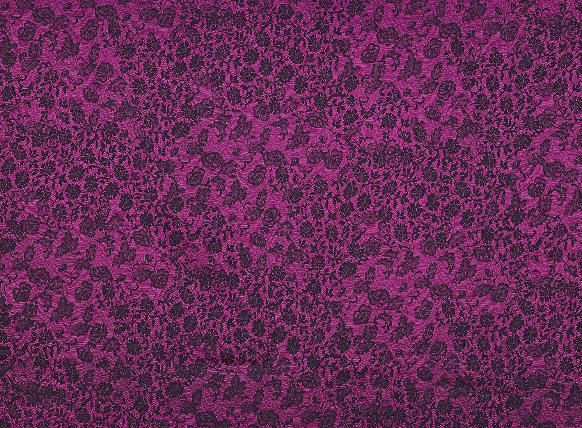 #color_393 BERRY/BLK