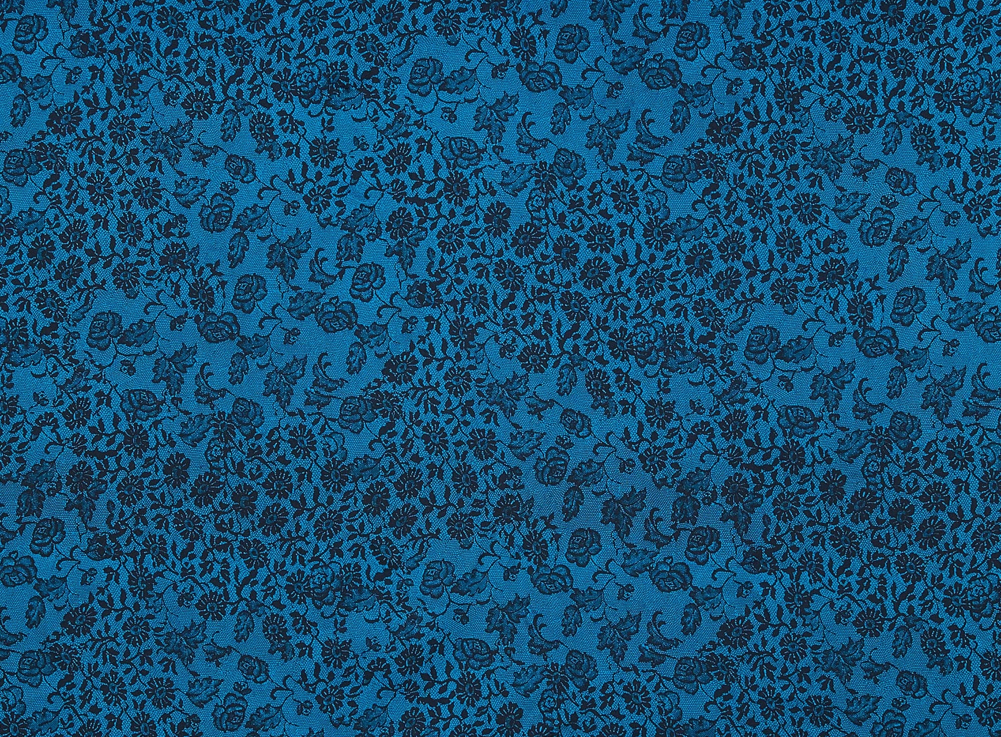 #color_494 PEACOCK/BLK