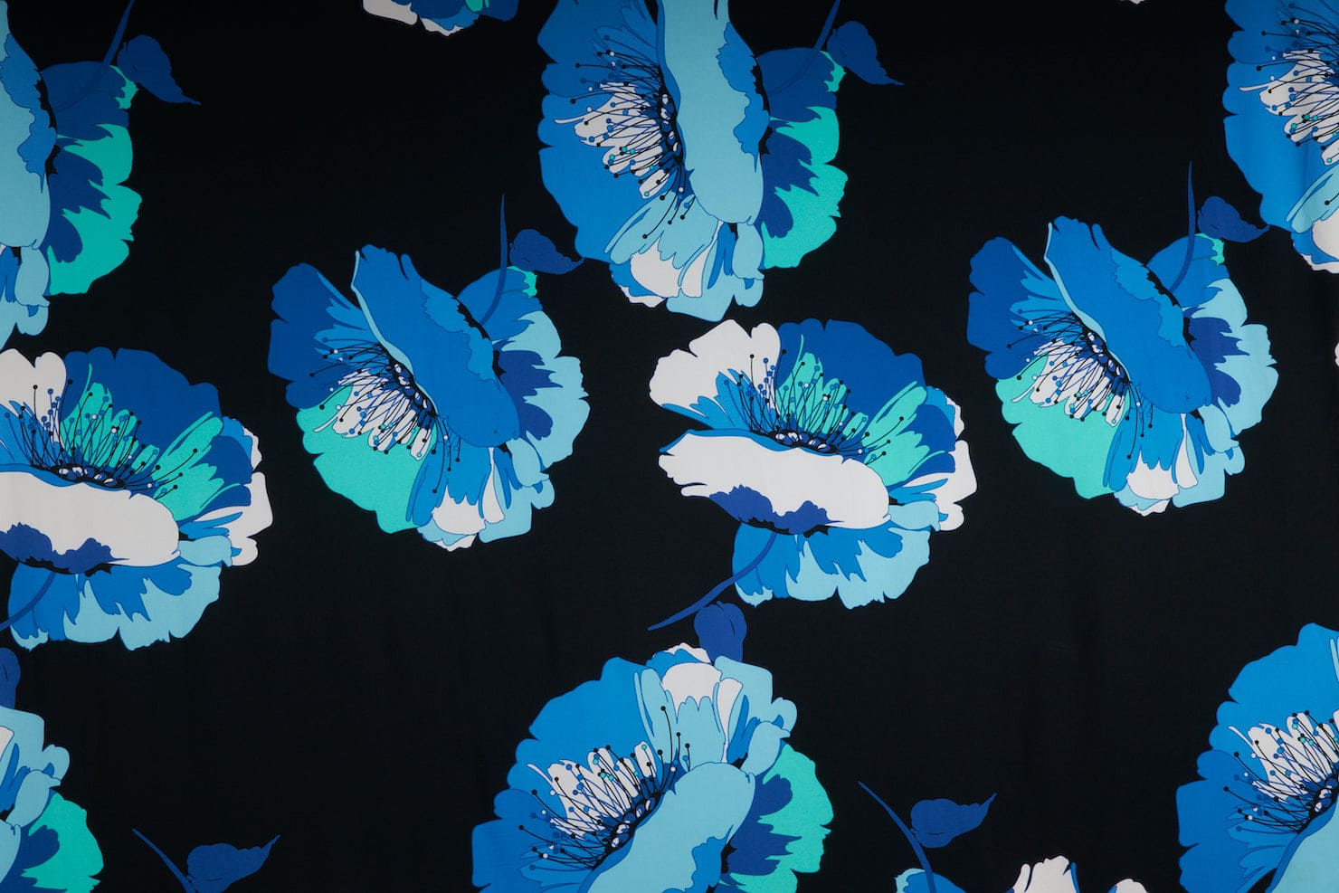 #color_947 BLACK/BLUE
