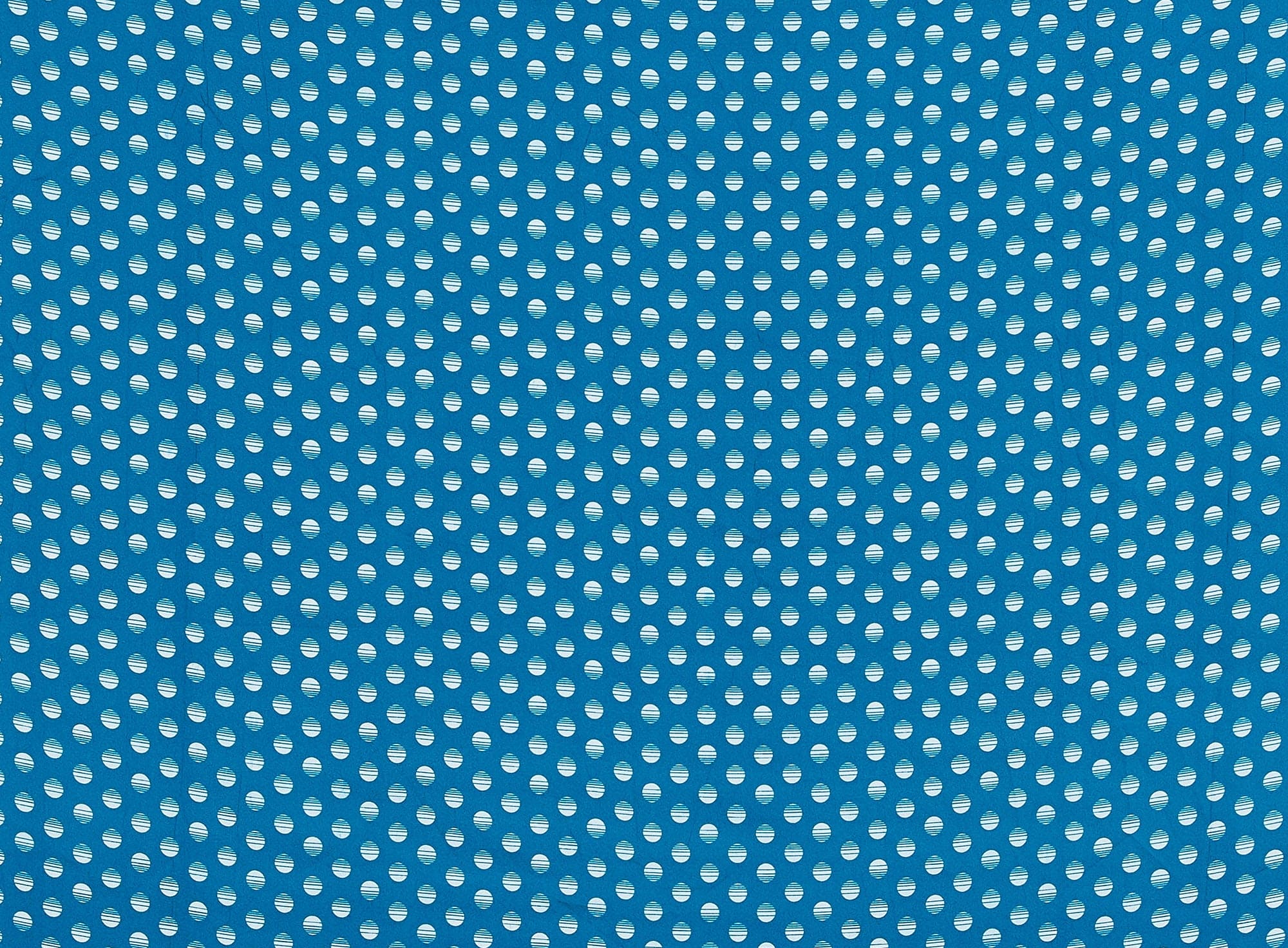 #color_414 PEACOCK/OWT