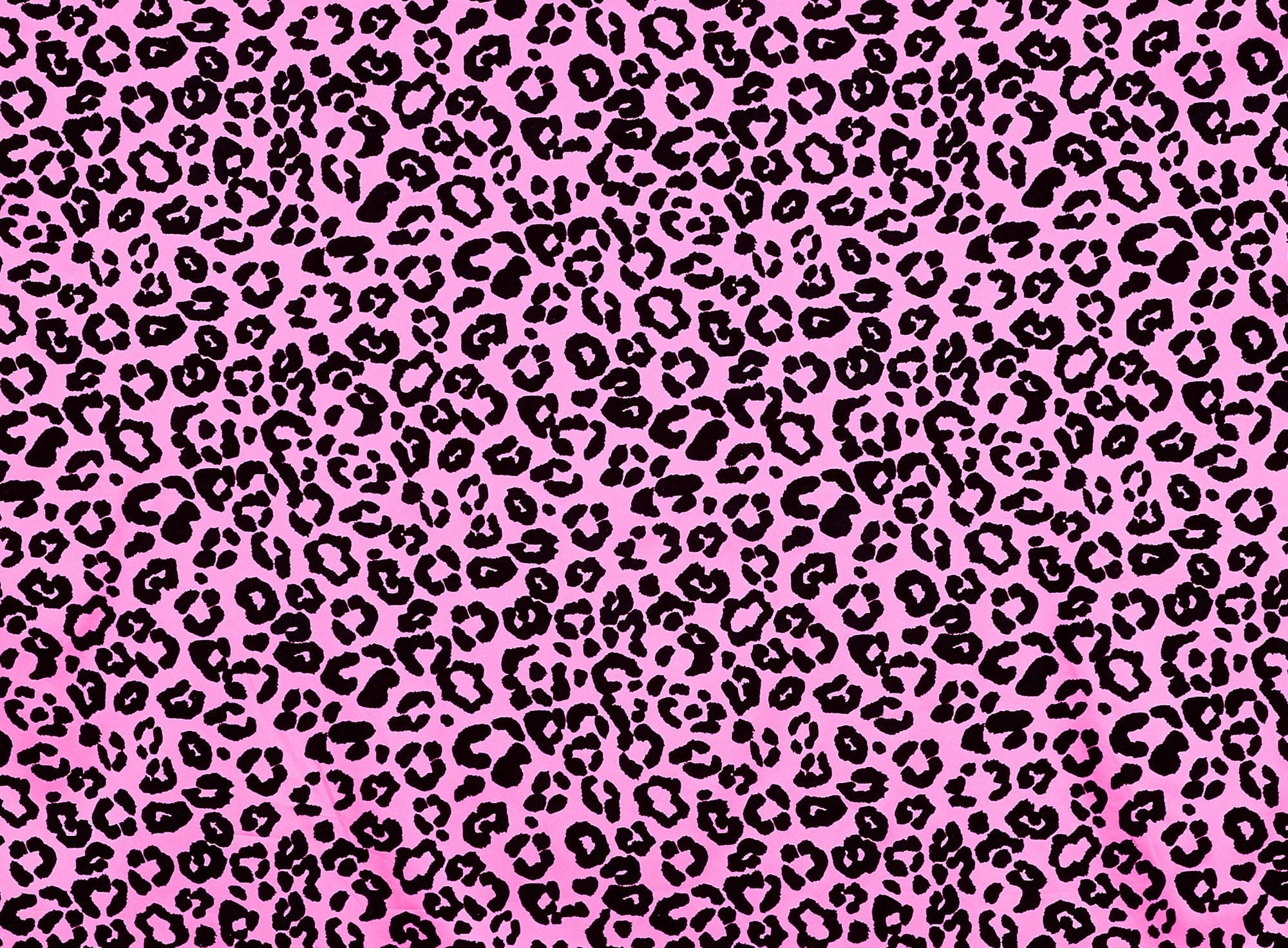 #color_399 H.PINK/BLK