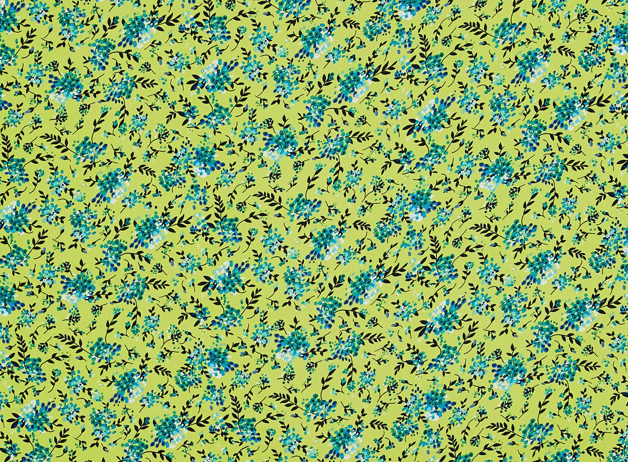 #color_749 LIME/BLUE