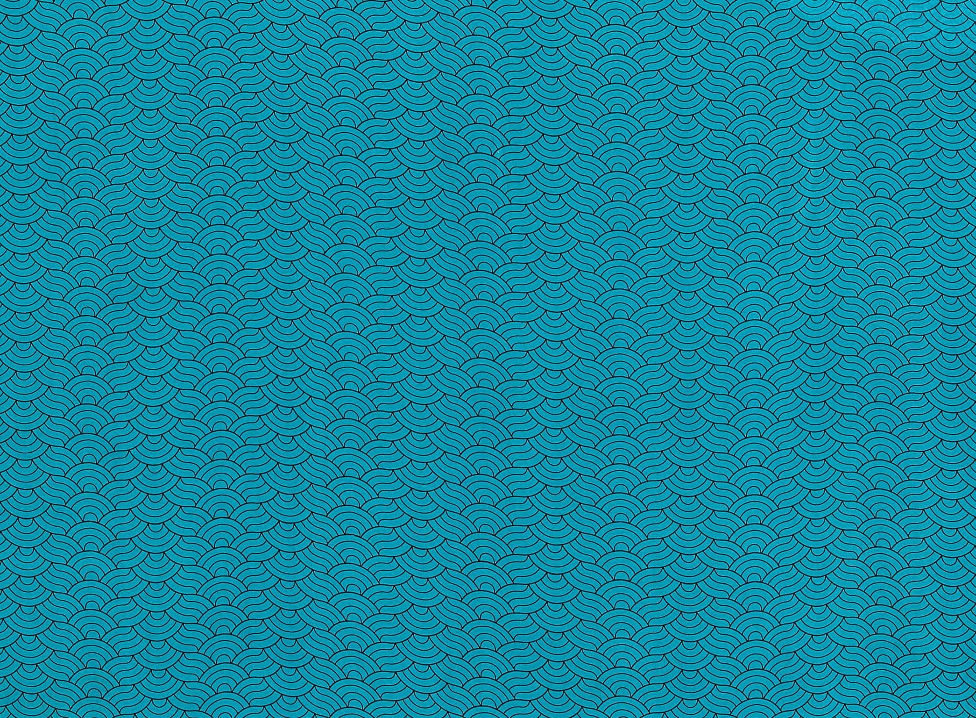 #color_494 AQUA/BLK