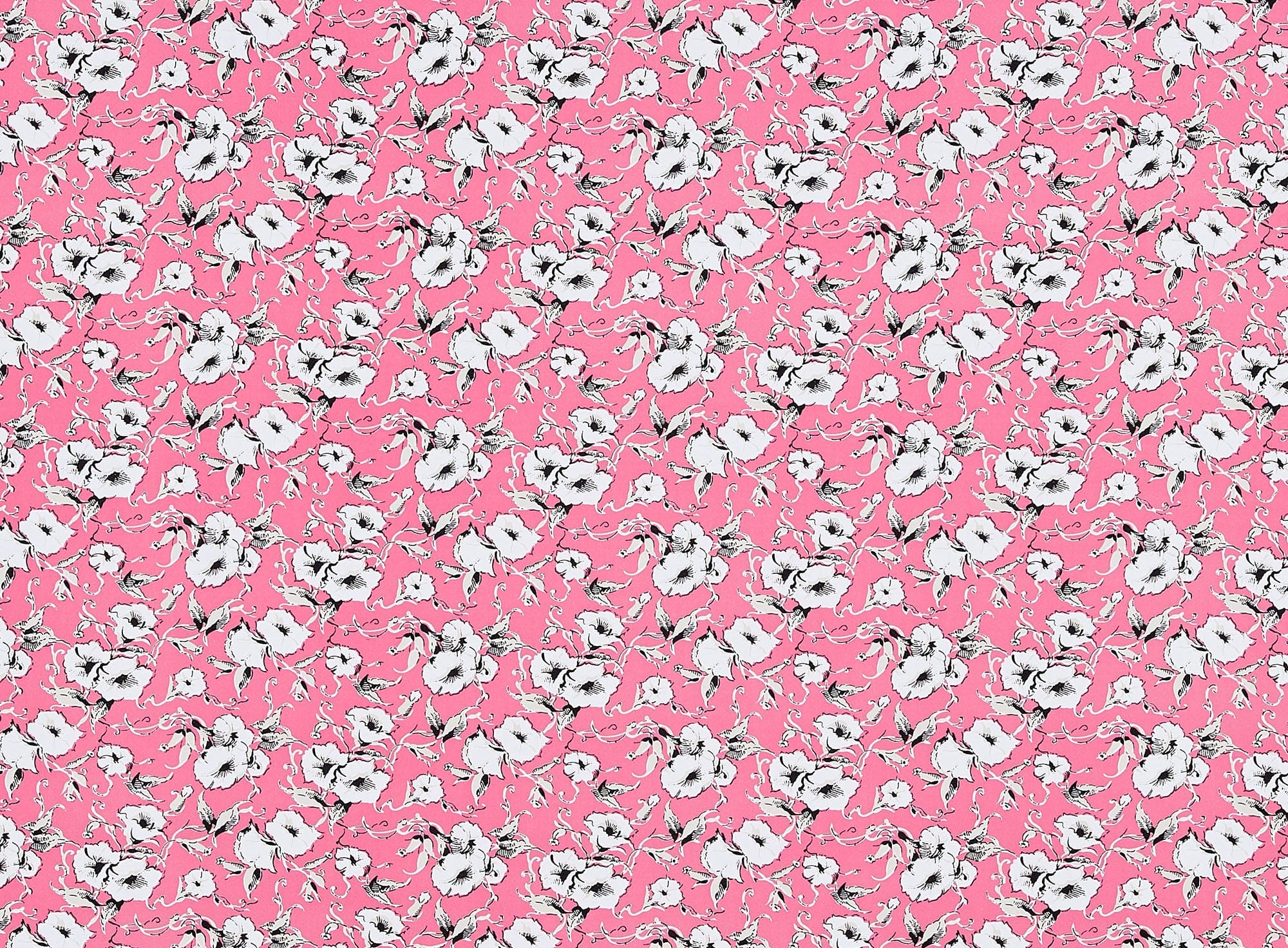 #color_819 CORAL/WHT