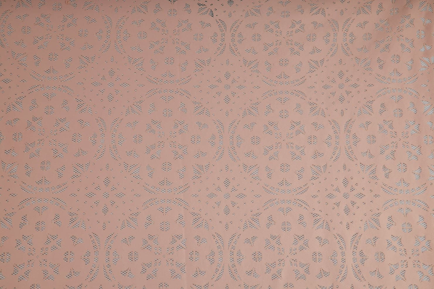 #color_BLOSSOM BLISS