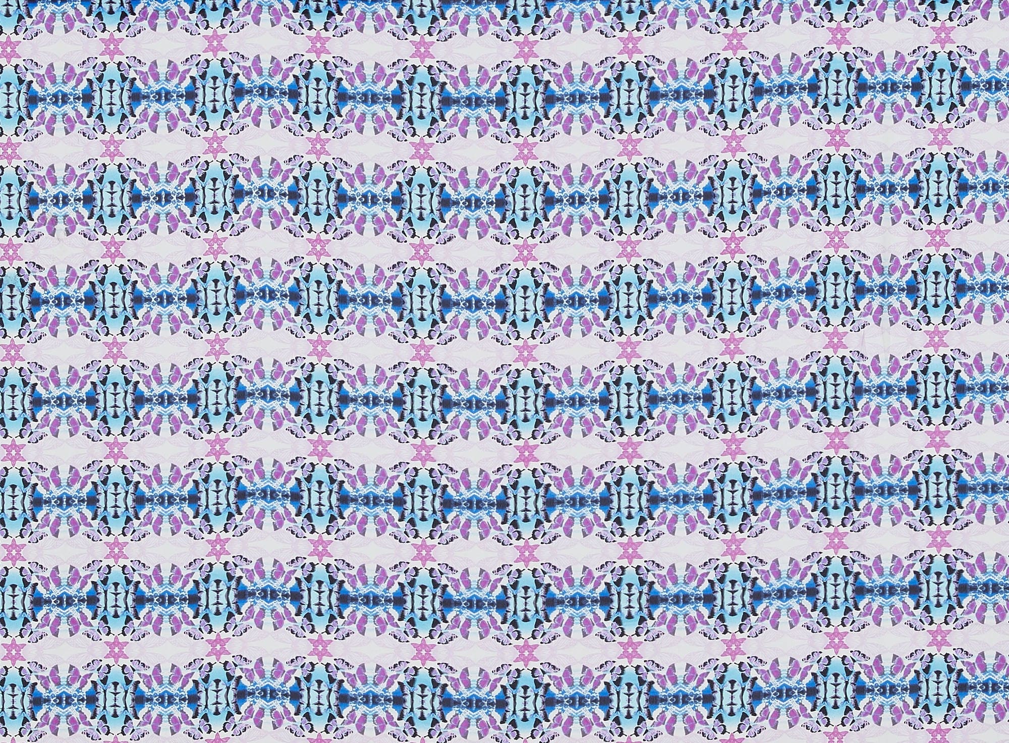 #color_649 ORCHID/COBA