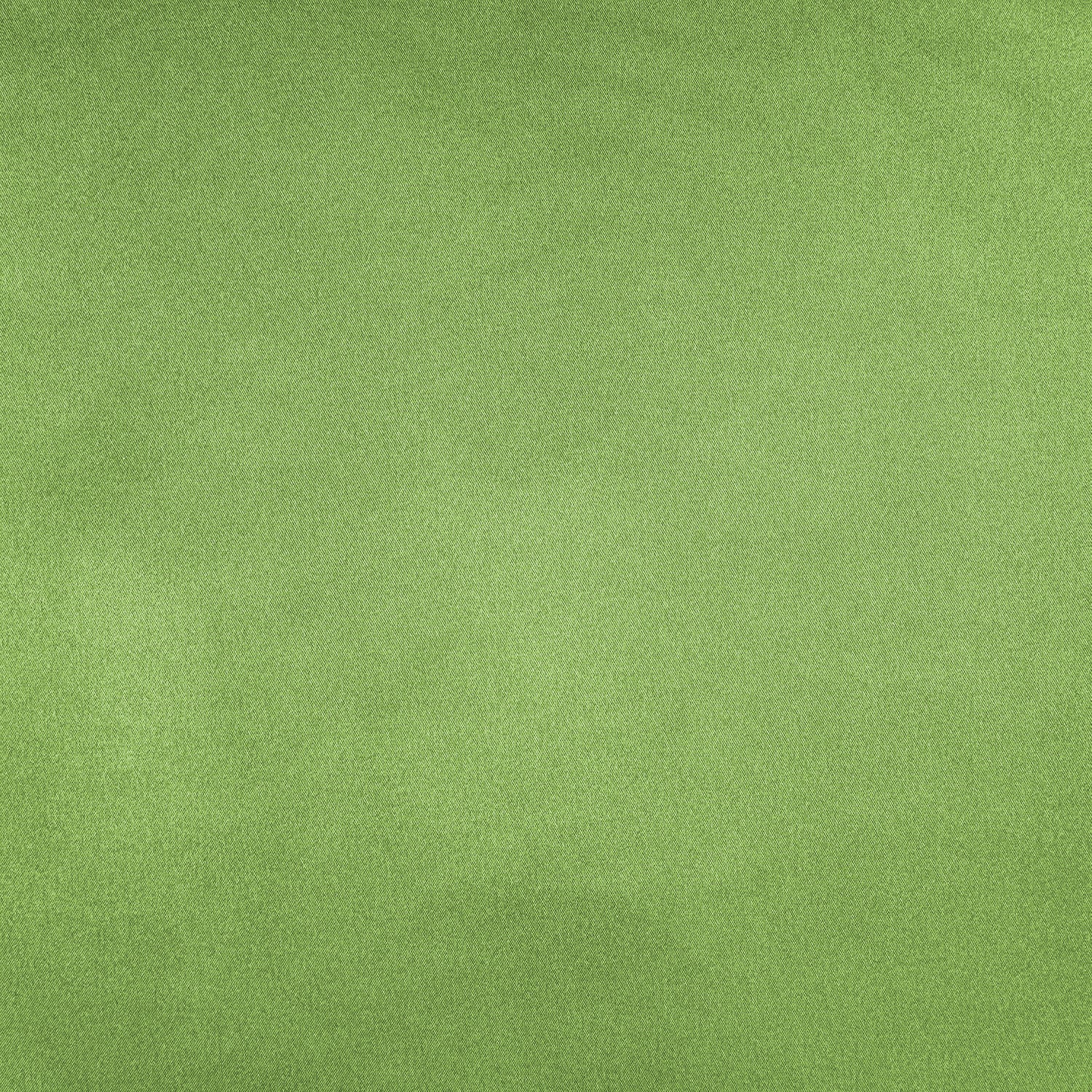 #color_RIO LIME