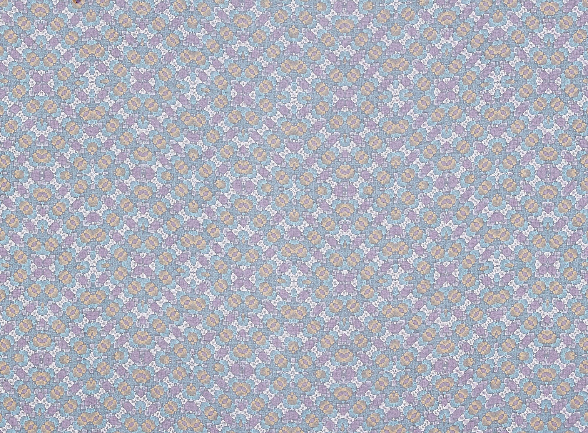 #color_465 NIGHT/ORCHI