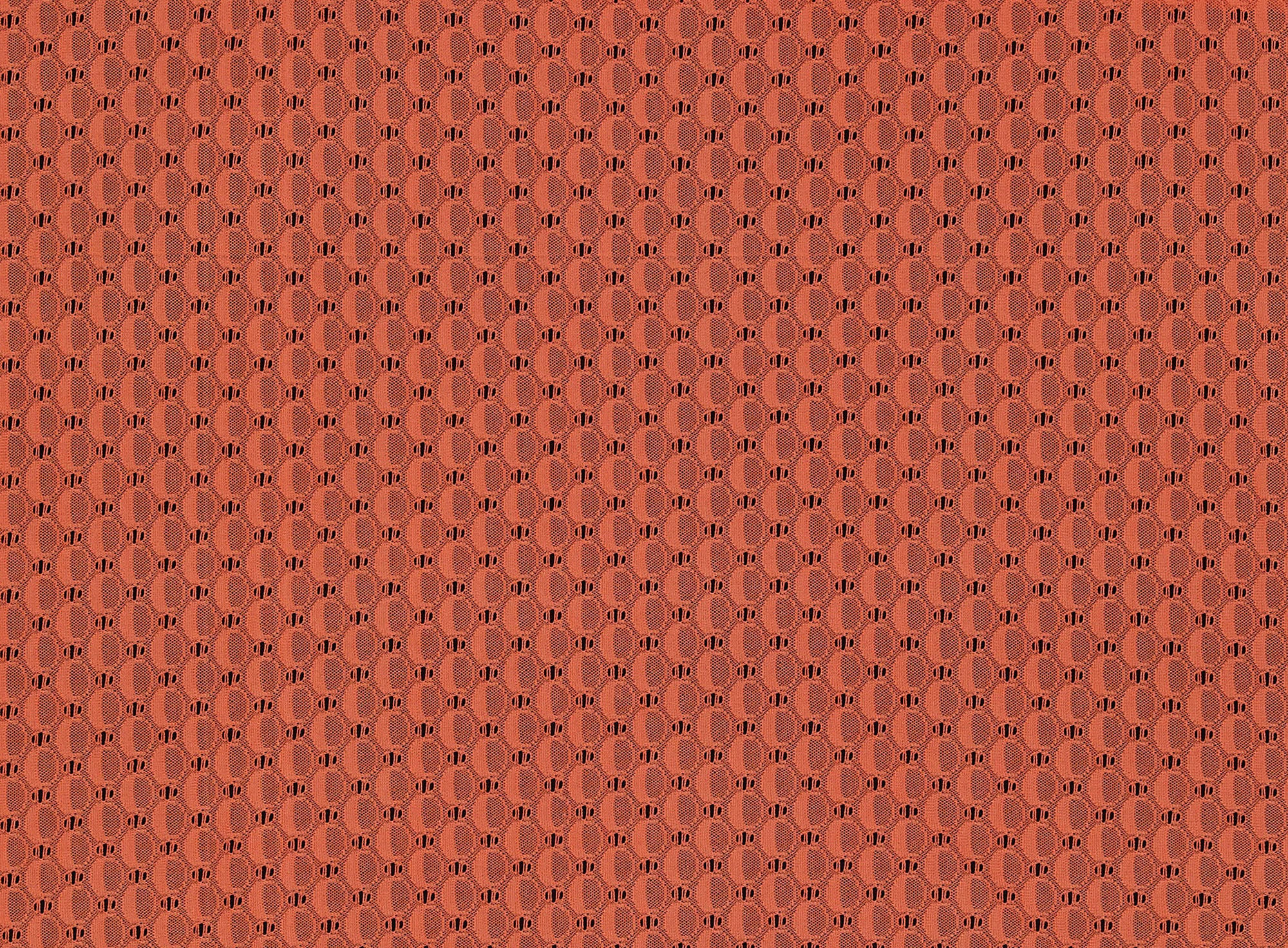 #color_883 CORAL