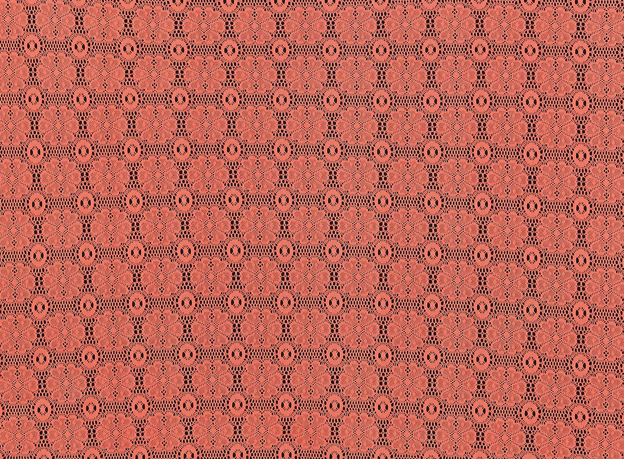 #color_883 CORAL