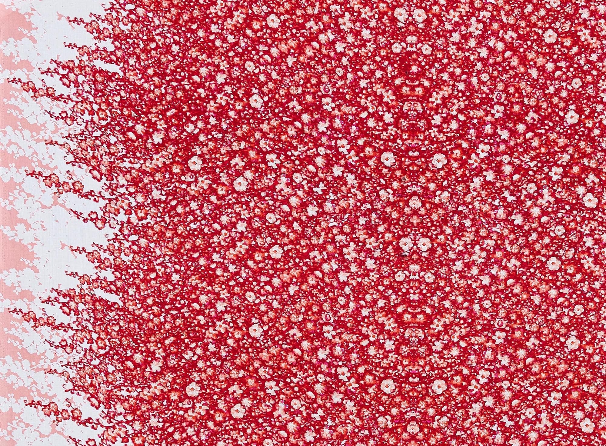 #color_813 WHT/CORAL