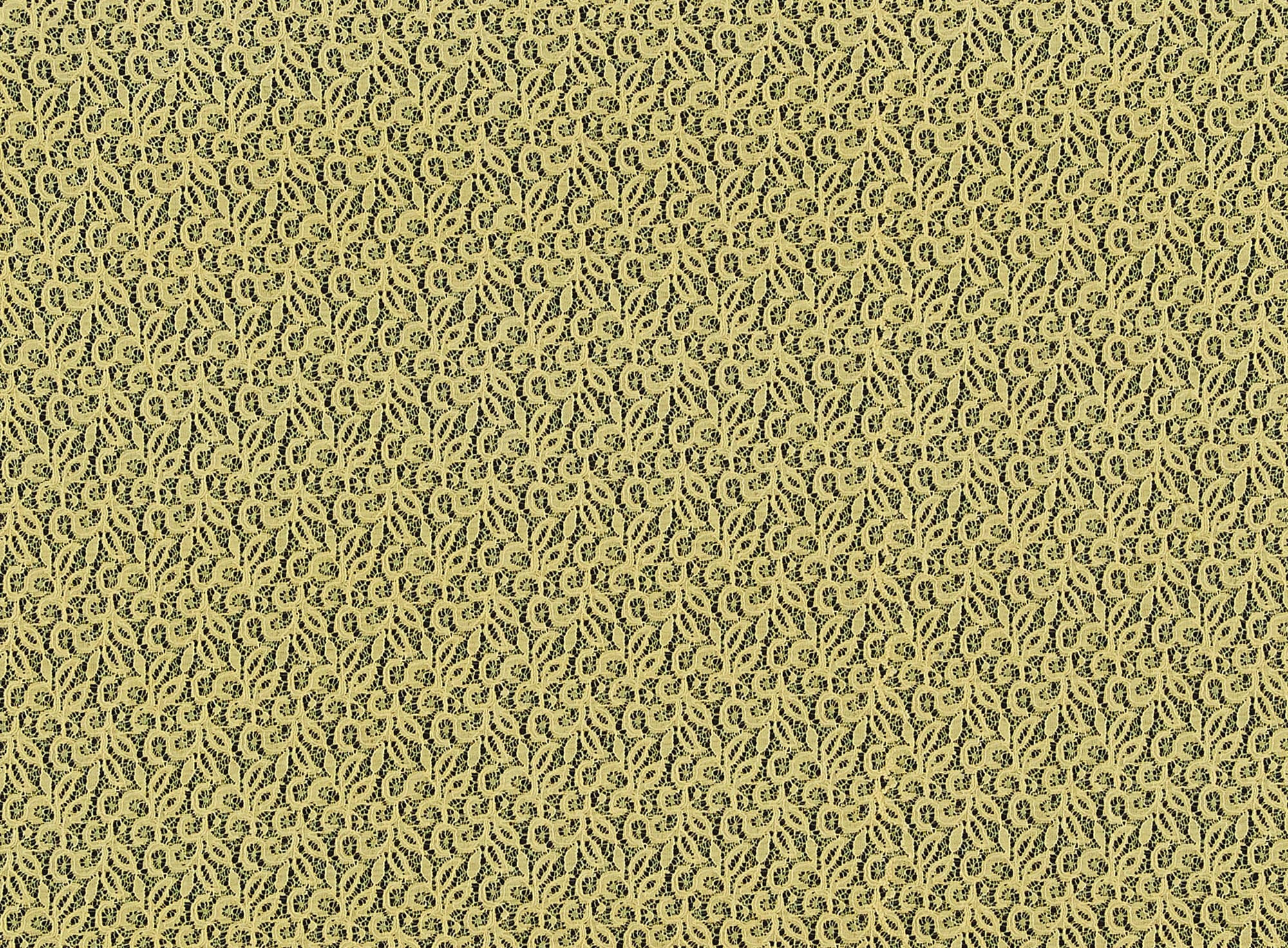 #color_515 PALE YELLOW