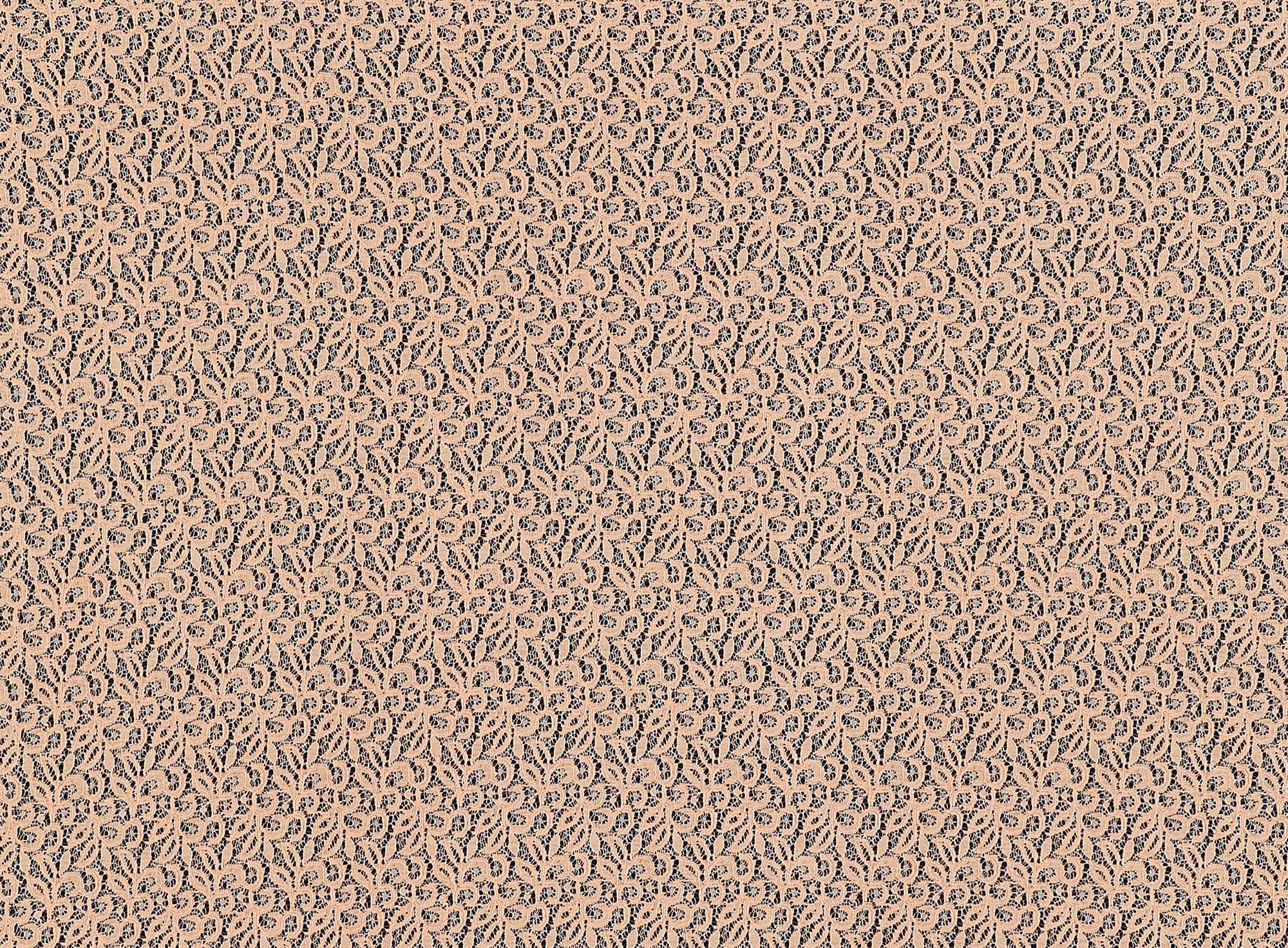 #color_818 PALE APRICO