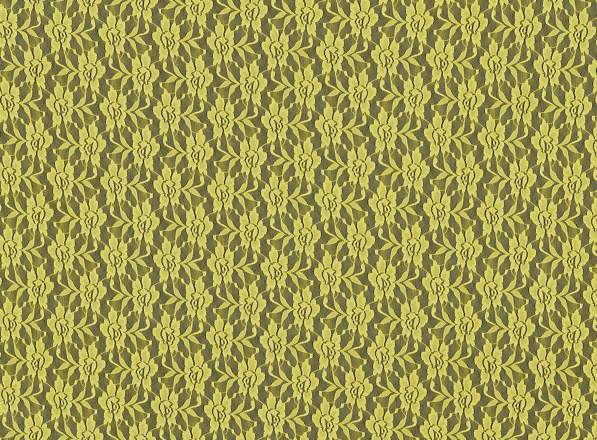 #color_557 CANARY