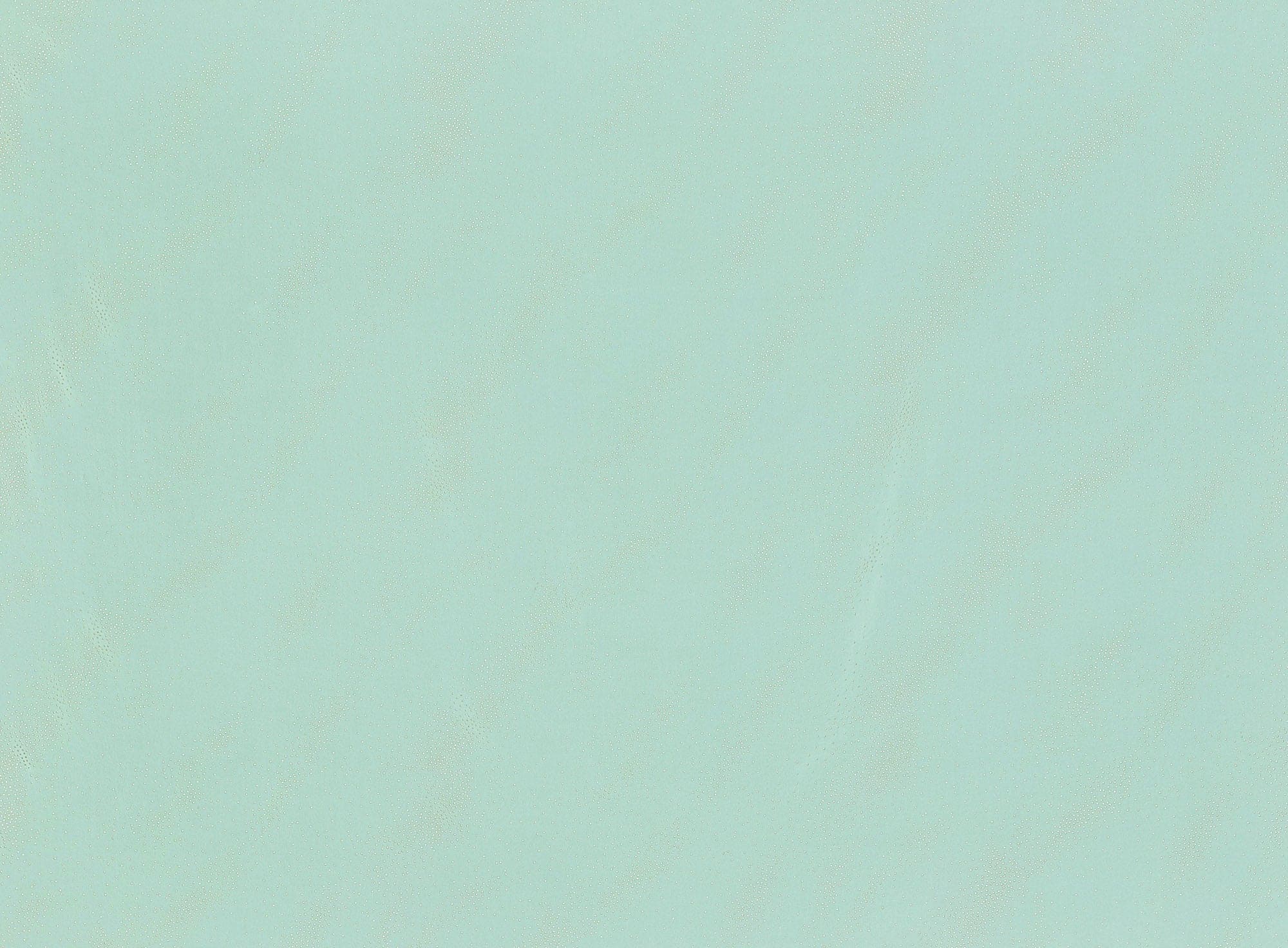 #color_771 PISTACHIO