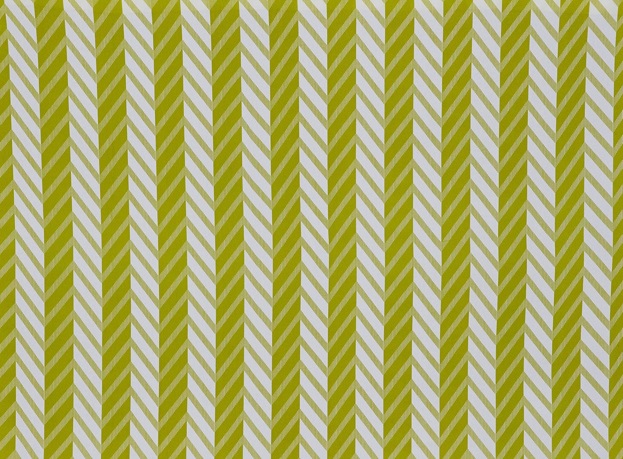 #color_177 CITRON/OWHT
