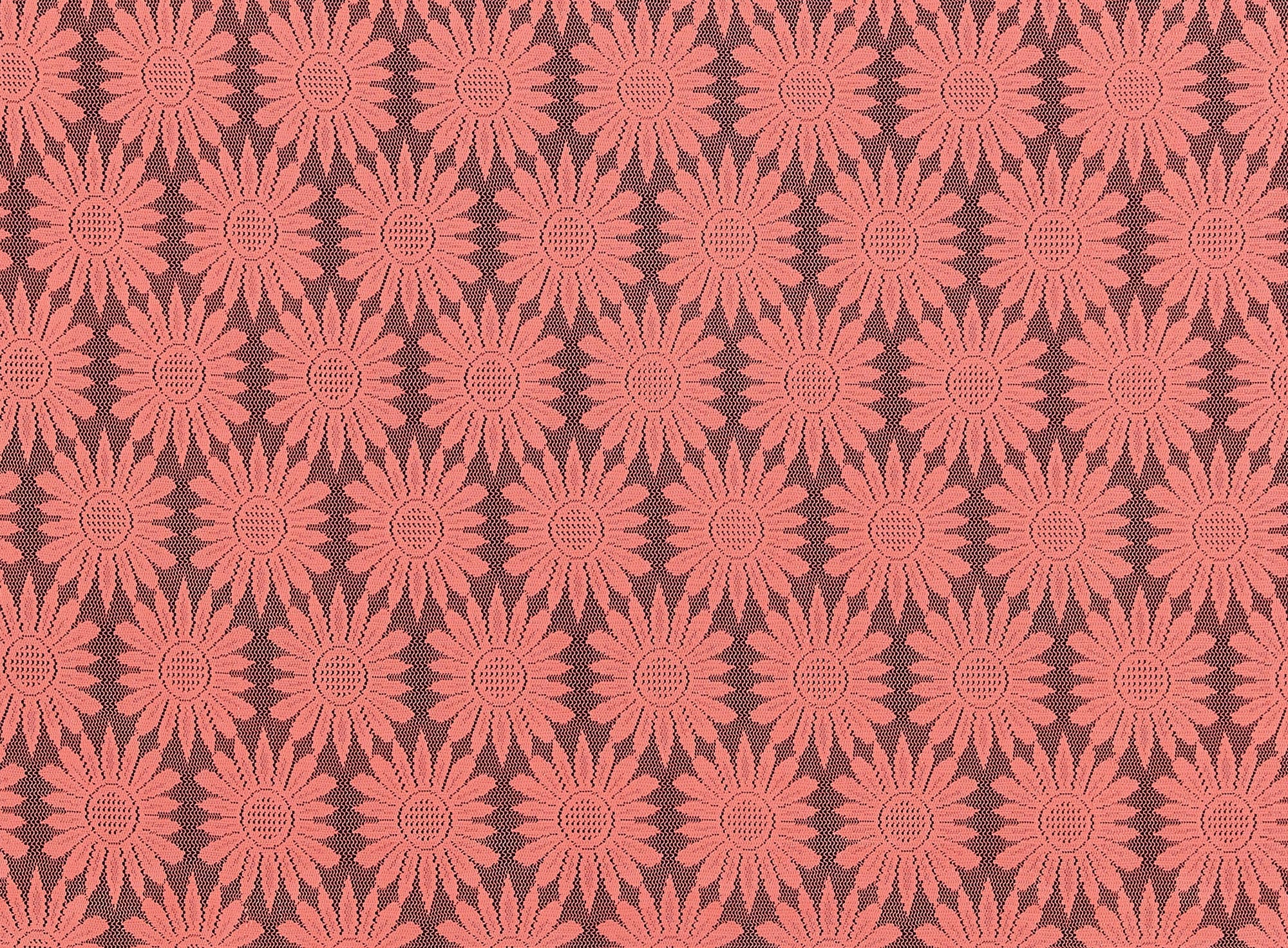 #color_885 CALYPSO CORAL
