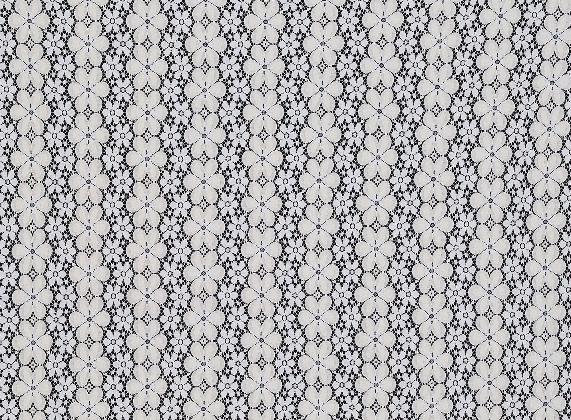 #color_110 OWHT