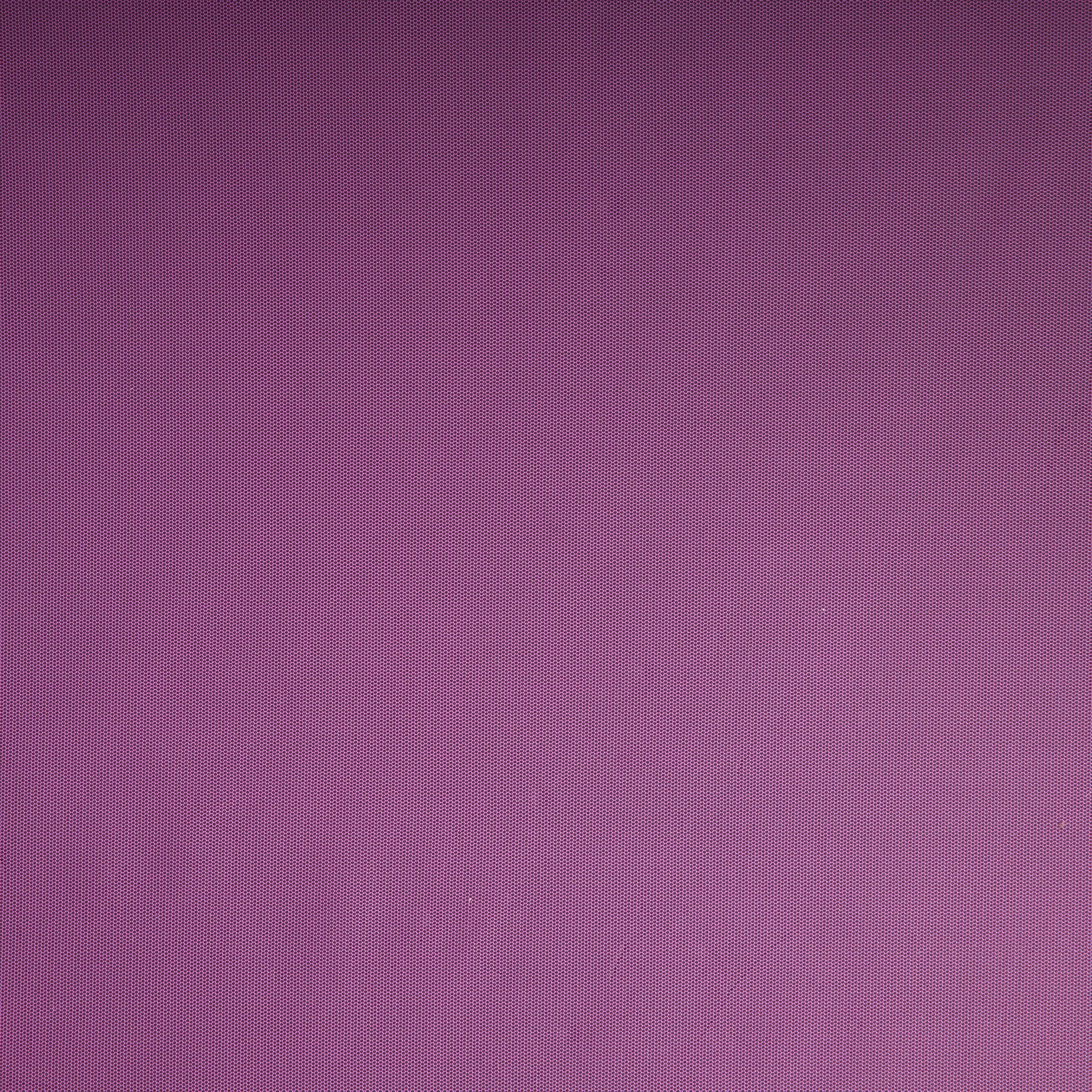 #color_MAGENTA BUD