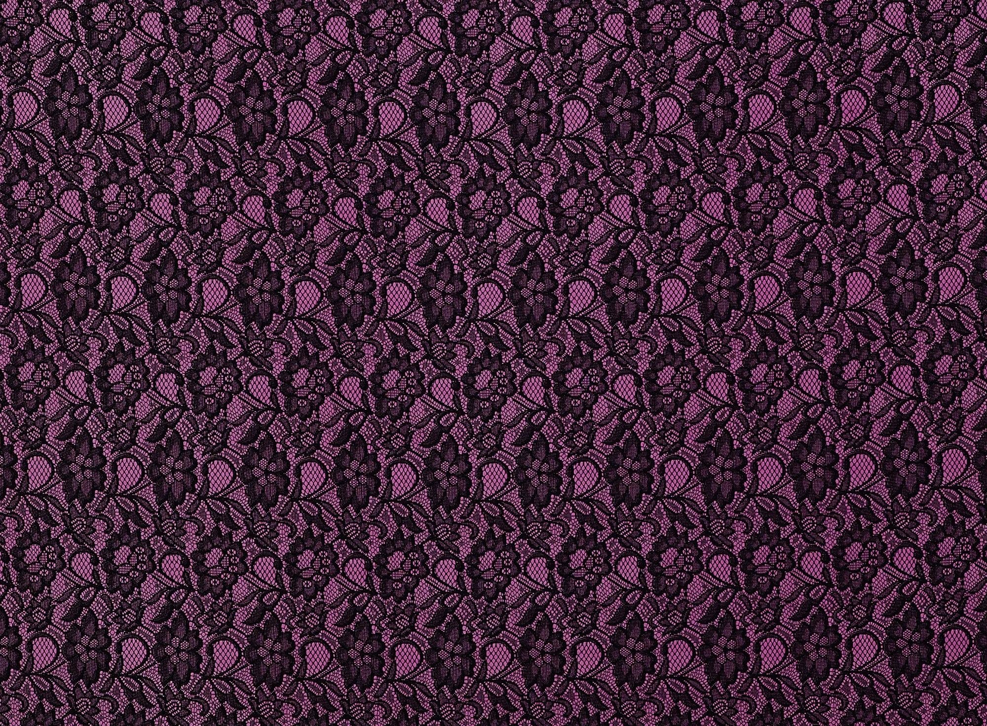 #color_369 BERRY/BLACK