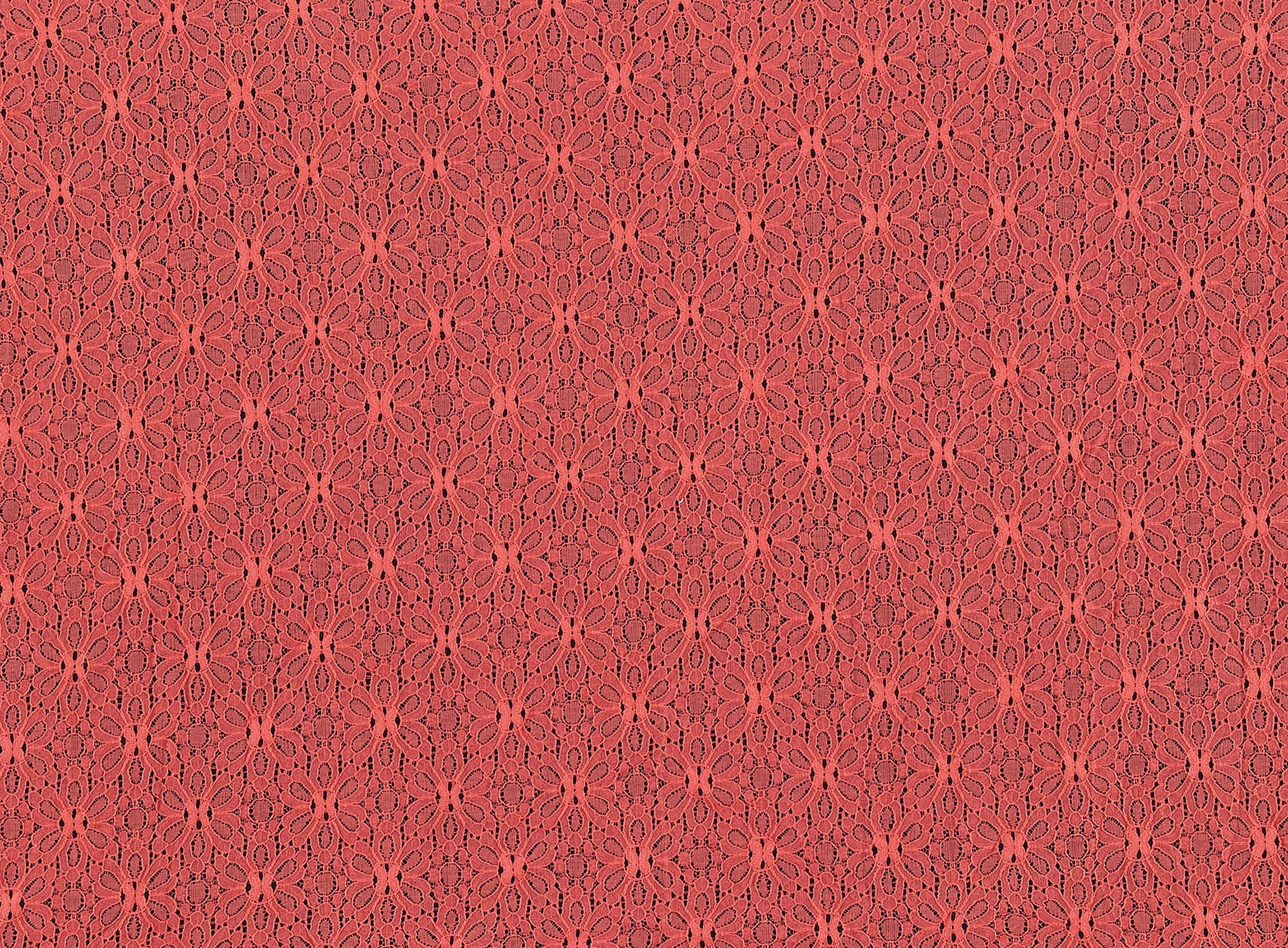 #color_C881 CRSNTCORAL