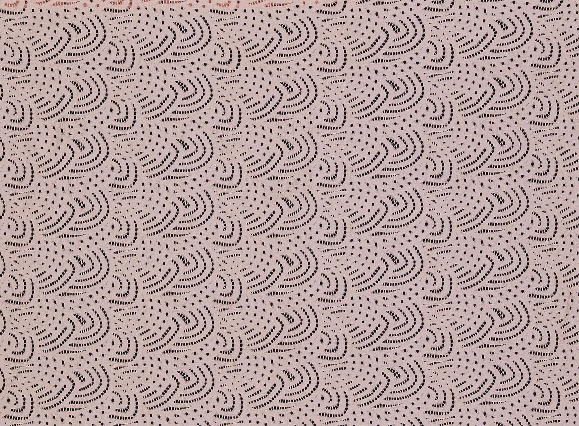 #color_313 BLUSH