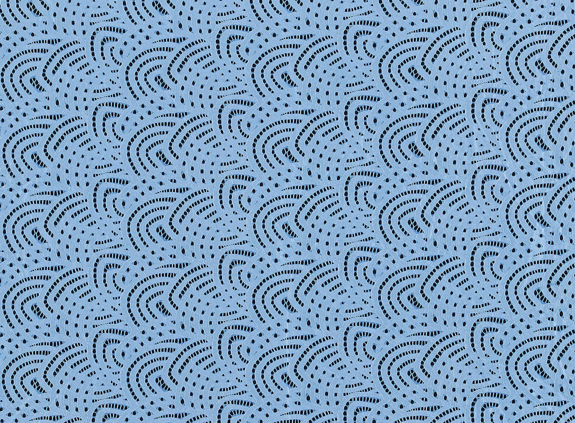 #color_461 BLUEBIRD