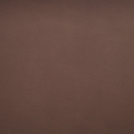 #color_AU BRONZE
