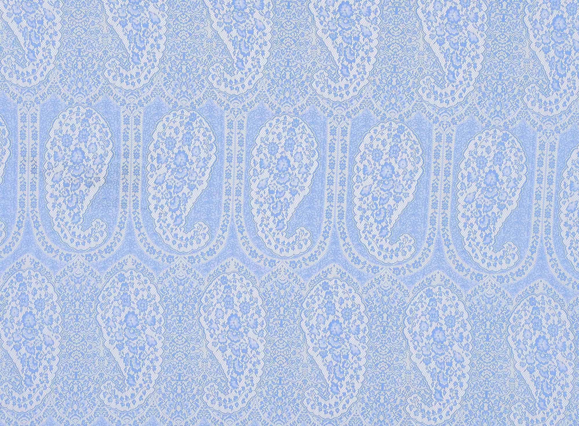 #color_461 BLUEBIRD