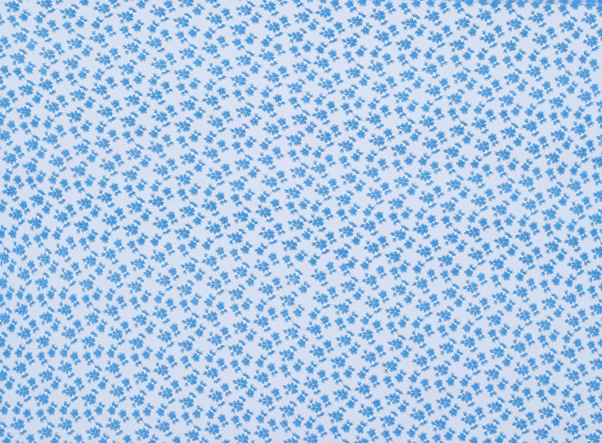 #color_461 BLUEBIRD