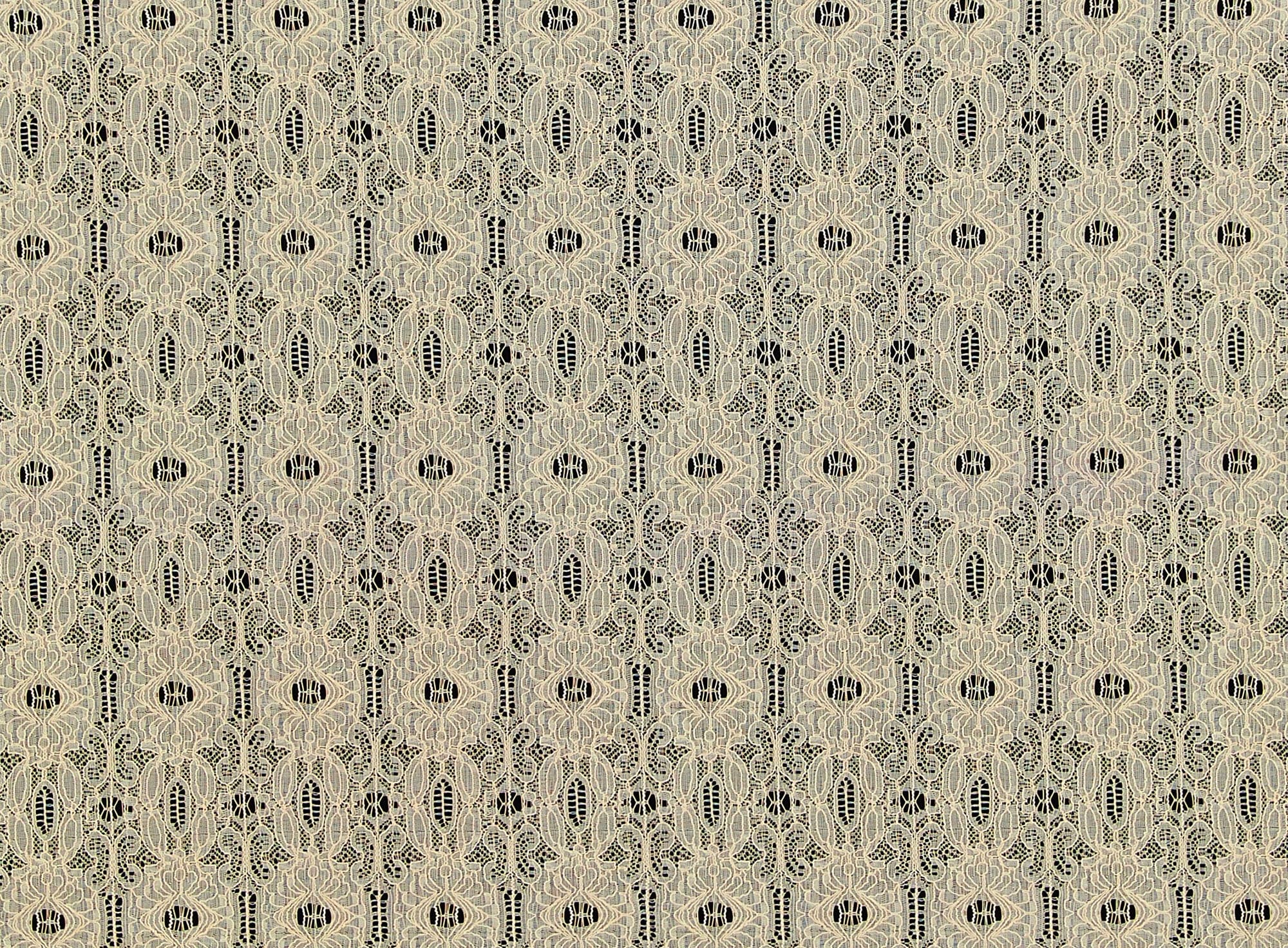 #color_211 CREAM